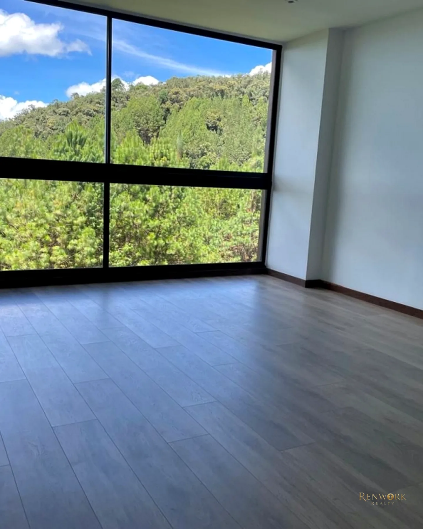 AMPLIO Y HERMOSO APARTAMENTO CON VISTA VERDE EN EL RETIRO · foto 1