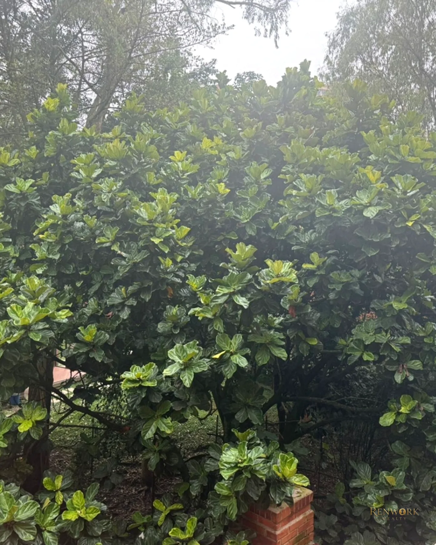 APARTAMENTO EN SERRAMONTE LOS BALSOS · foto 18