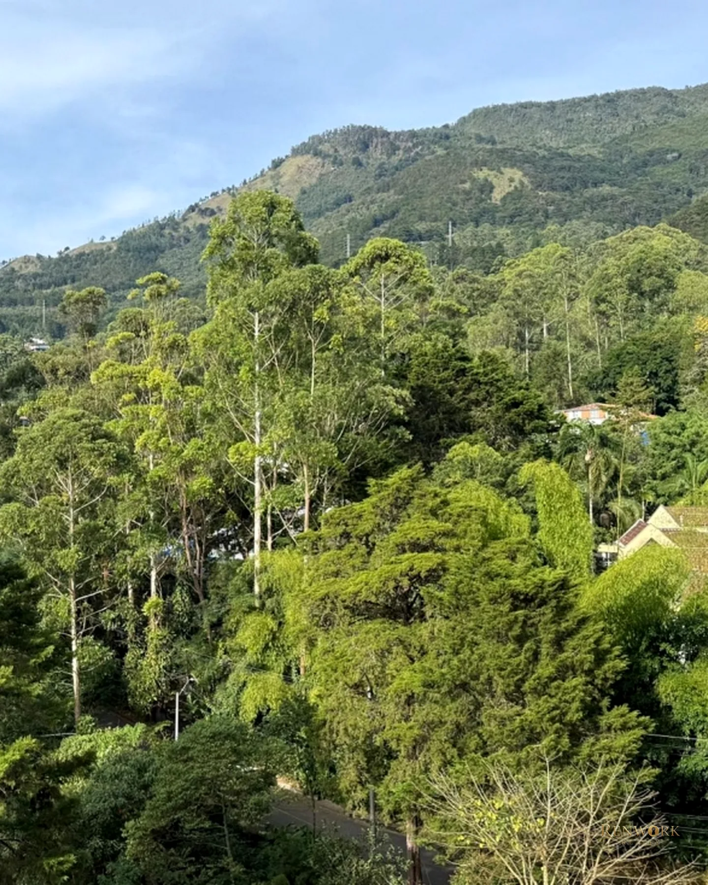 APARTAMENTO EN VENTA COLA DEL ZORRO EL POBLADO MEDELLÍN · foto 10