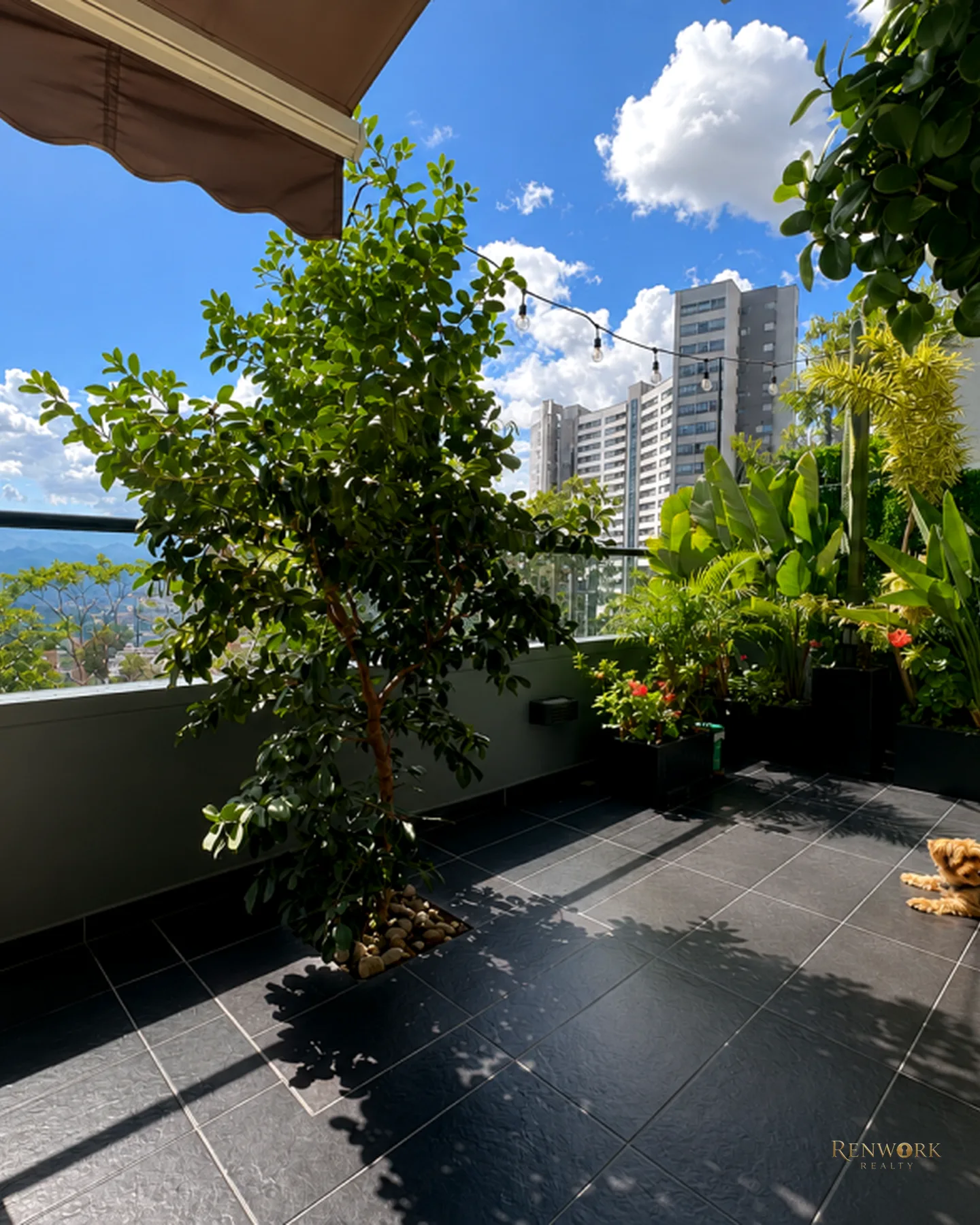 APARTAMENTO EN VENTA CON TERRAZA DE 31 M² EN LAS PALMAS EL POBLADO · foto 2
