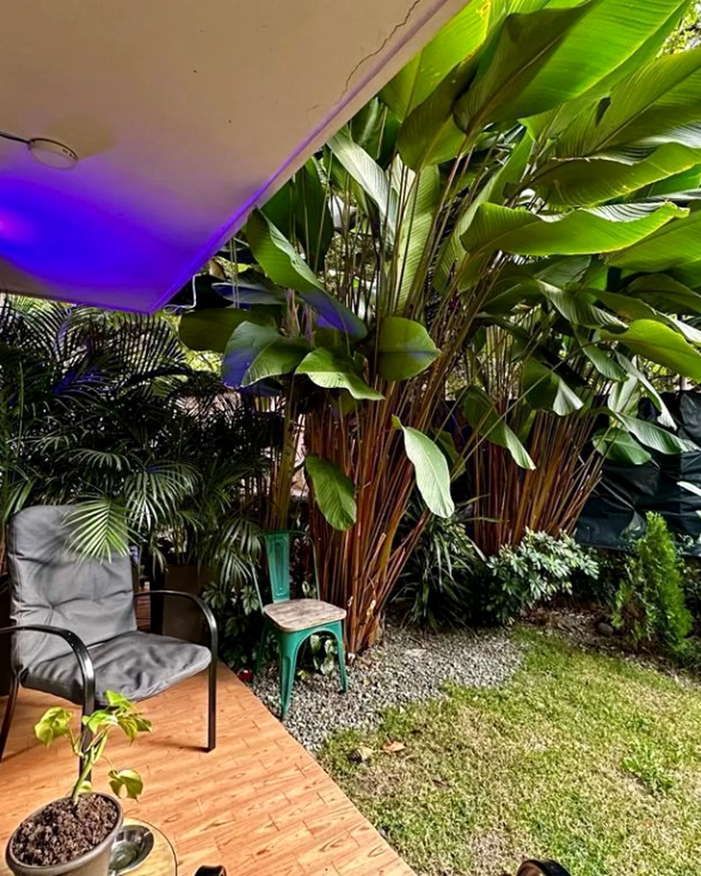 APARTAMENTO EN VENTA EL POBLADO AGUACATALA REMODELADO · foto 23
