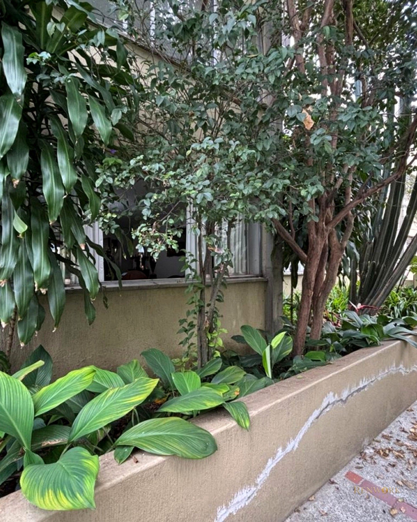 APARTAMENTO EN VENTA PARA REMODELAR, AGUACATALA, POBLADO. · foto 3