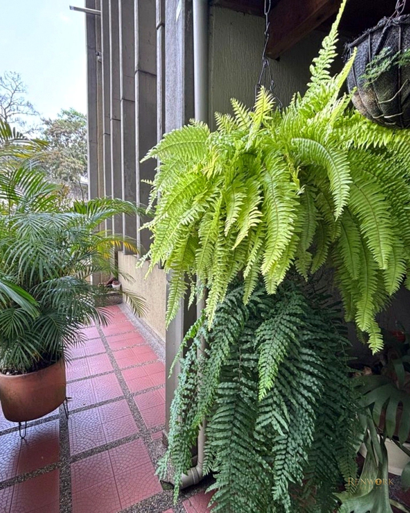 APARTAMENTO EN VENTA PARA REMODELAR, AGUACATALA, POBLADO. · foto 18