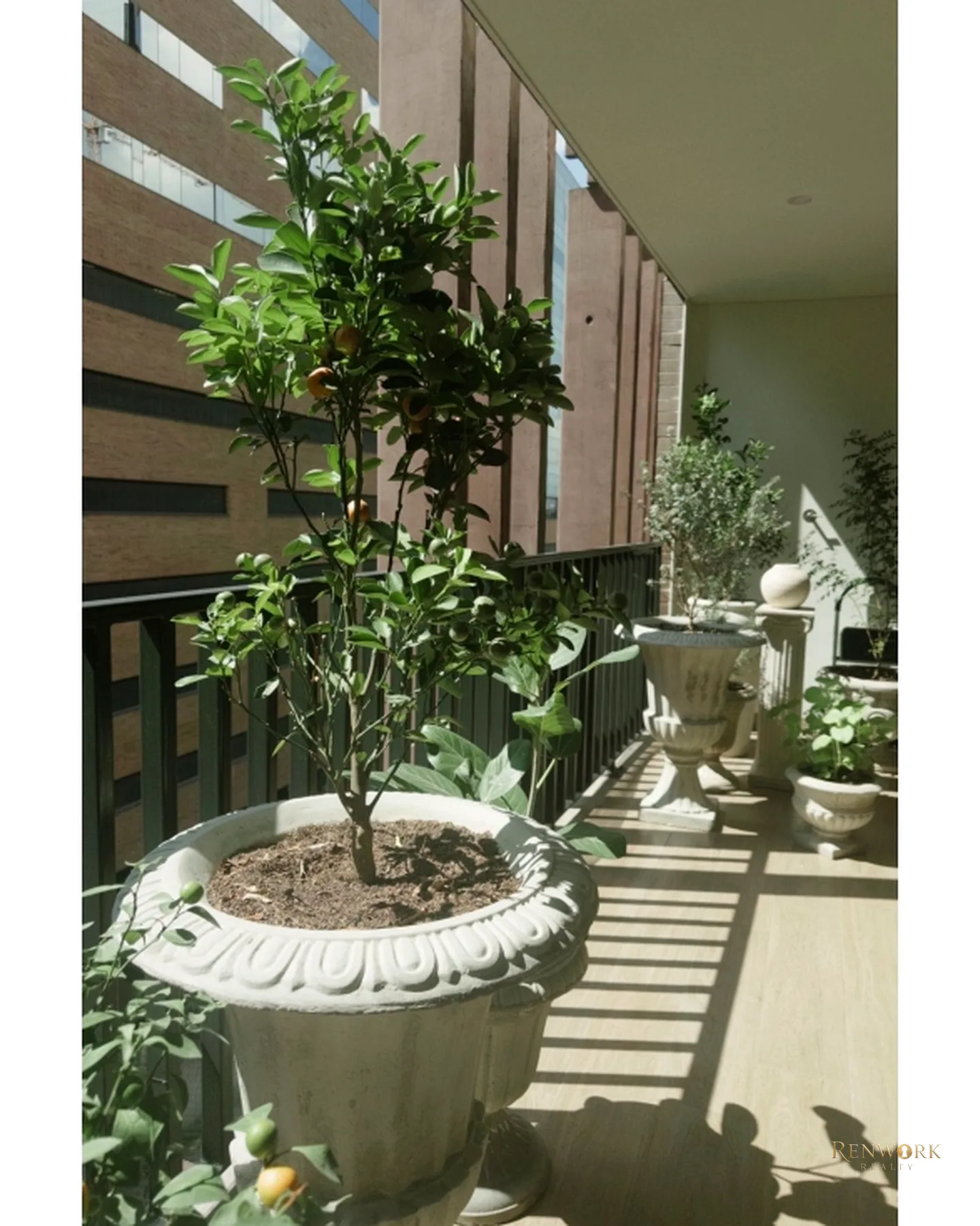 APARTAMENTO MEDELLIN TOTALMENTE REMODELADO POBLADO CIUDAD DEL RIO · foto 19