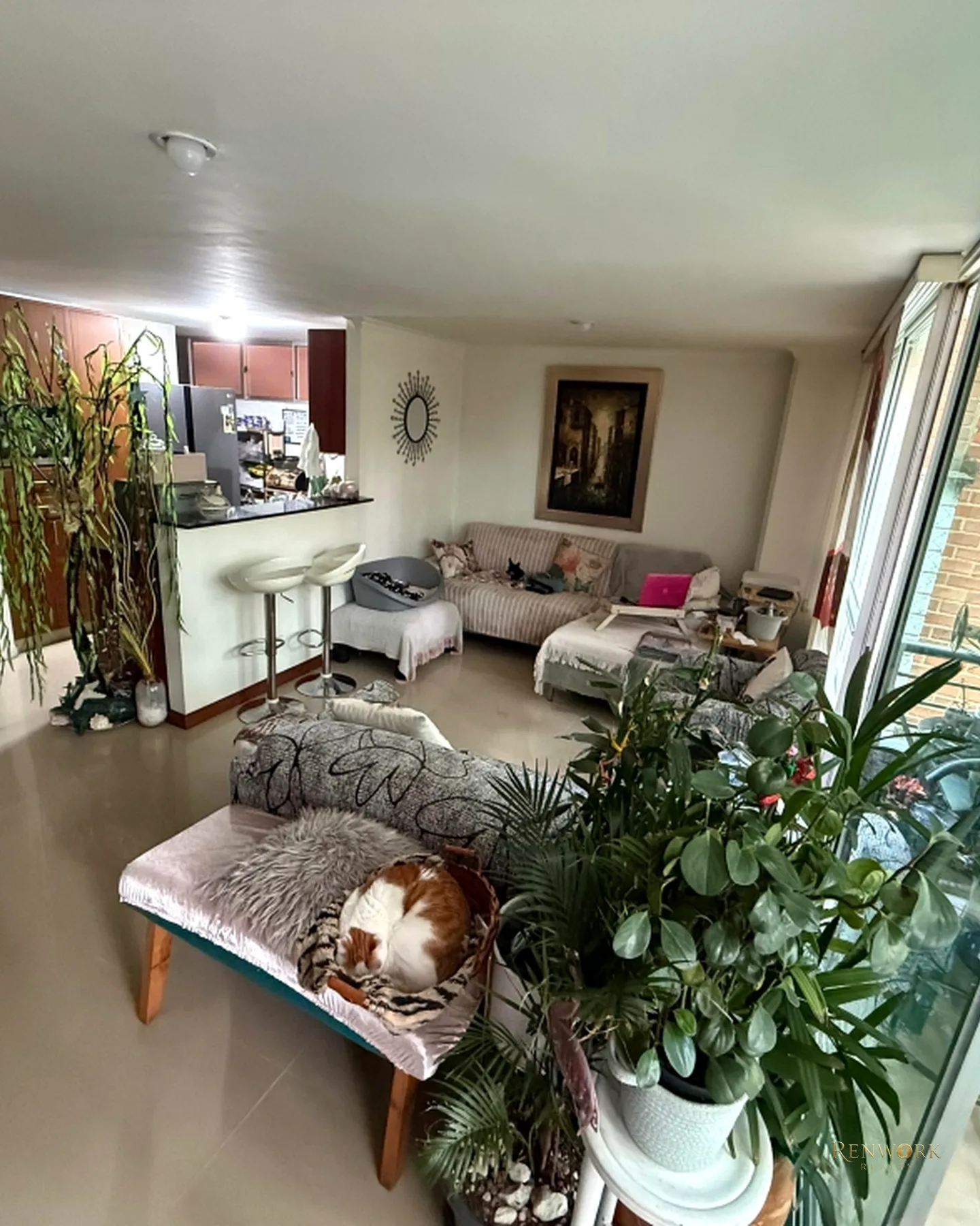 APARTAMENTO PARA LA VENTA SECTOR LA CASTELLANA · foto 1