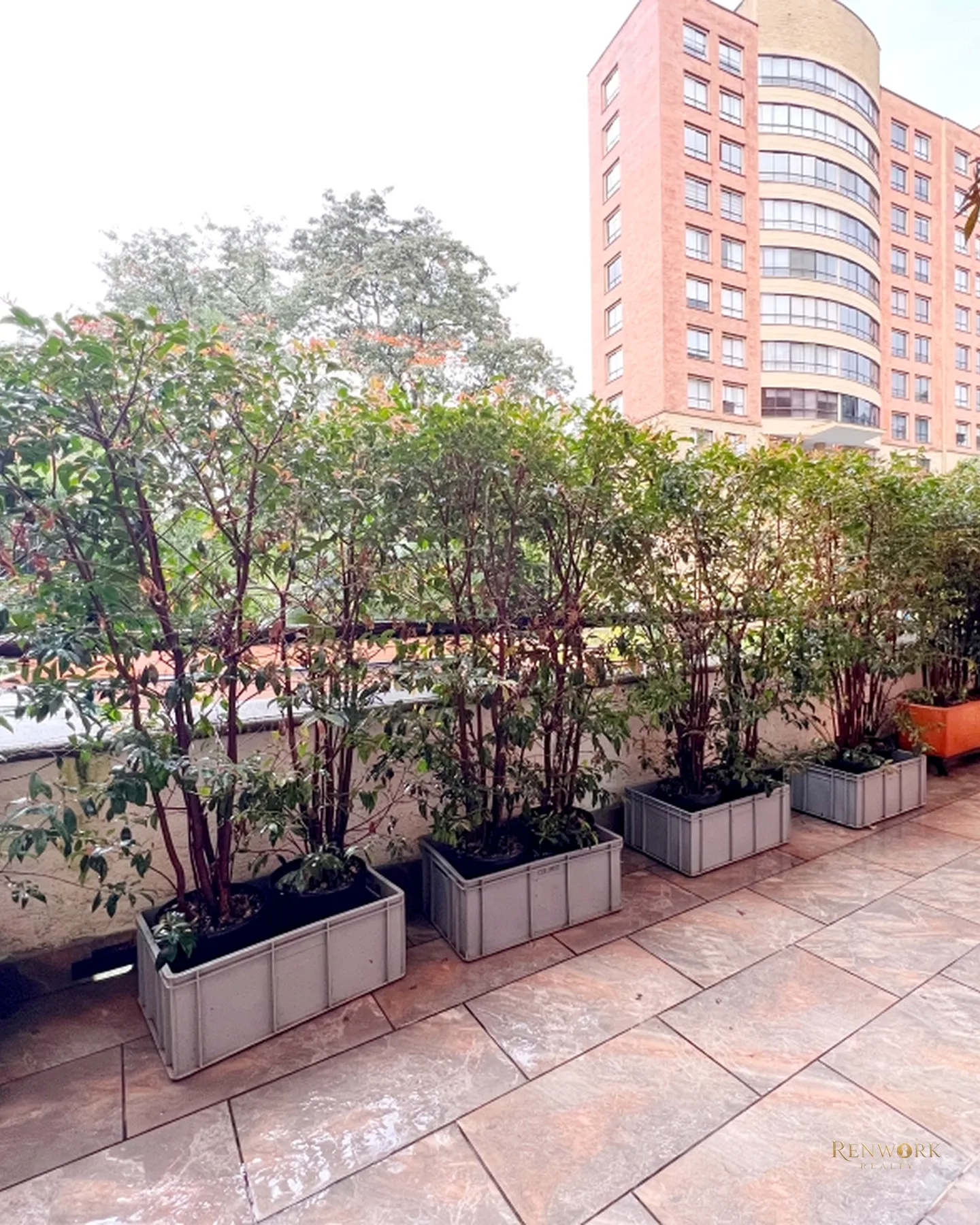 APARTAMENTO REMODELADO CON TERRAZA EL CAMPESTRE · foto 15