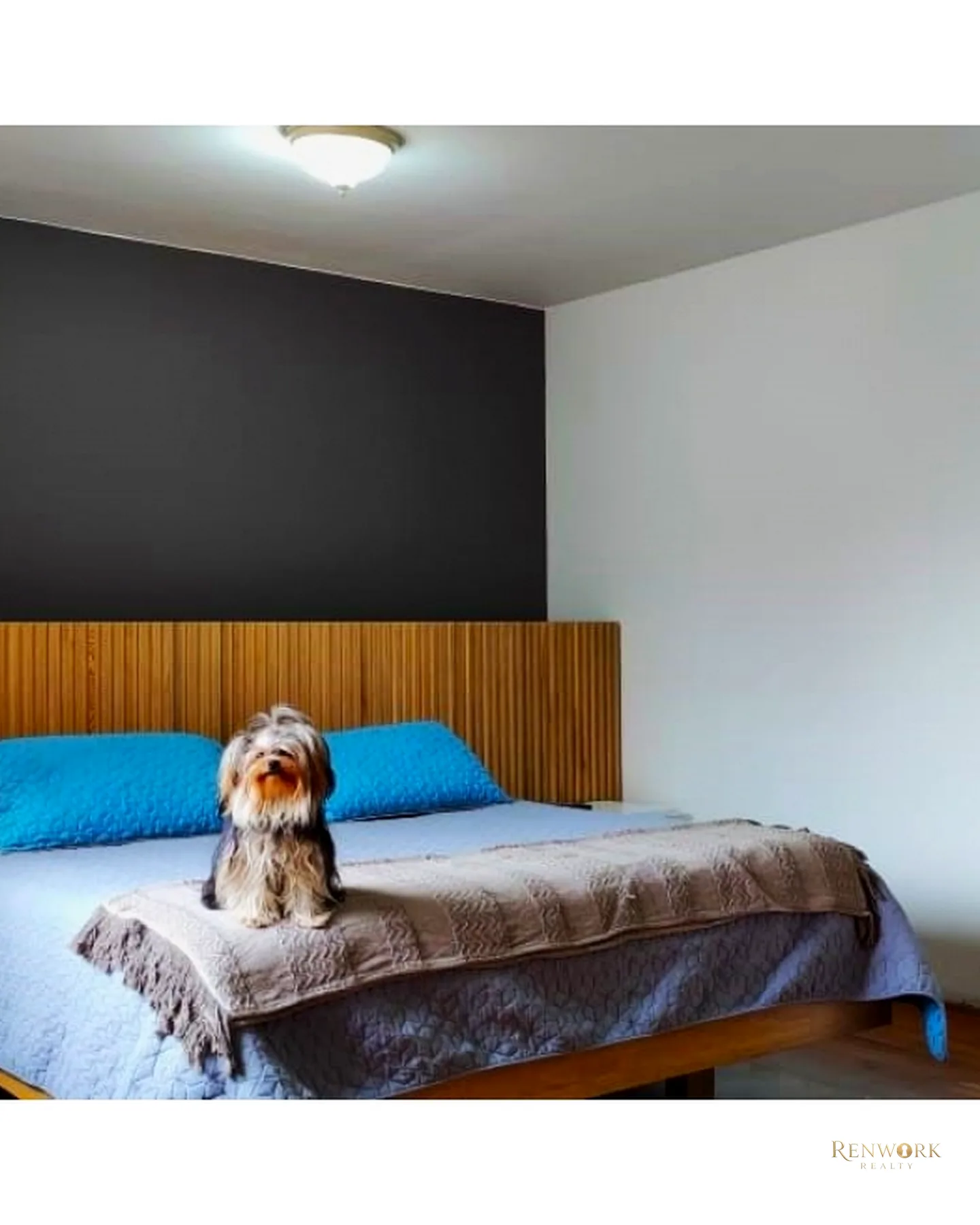 APARTAMENTO REMODELADO EL POBLADO LOS GONZÁLEZ · foto 15