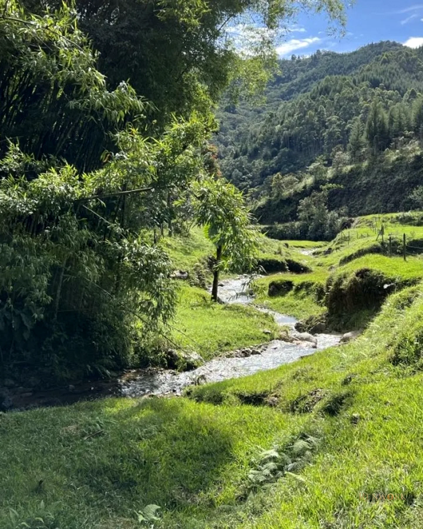CALDAS VEREDA LA MIEL · foto 20