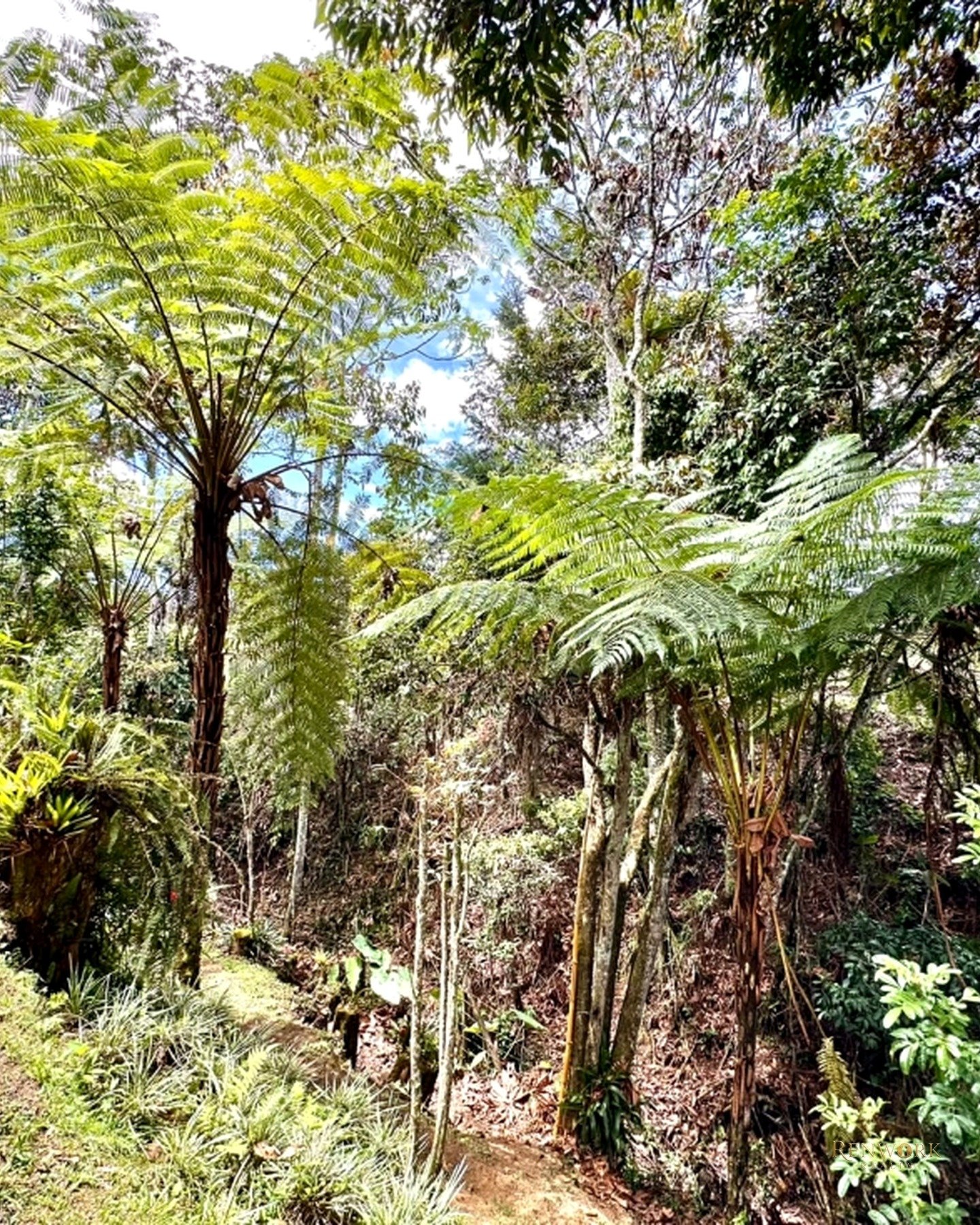 CASA CAMPESTRE DE LUJO PARA VENTA EN LA CEJA, DENTRO DE PARCELACIÓN · foto 22