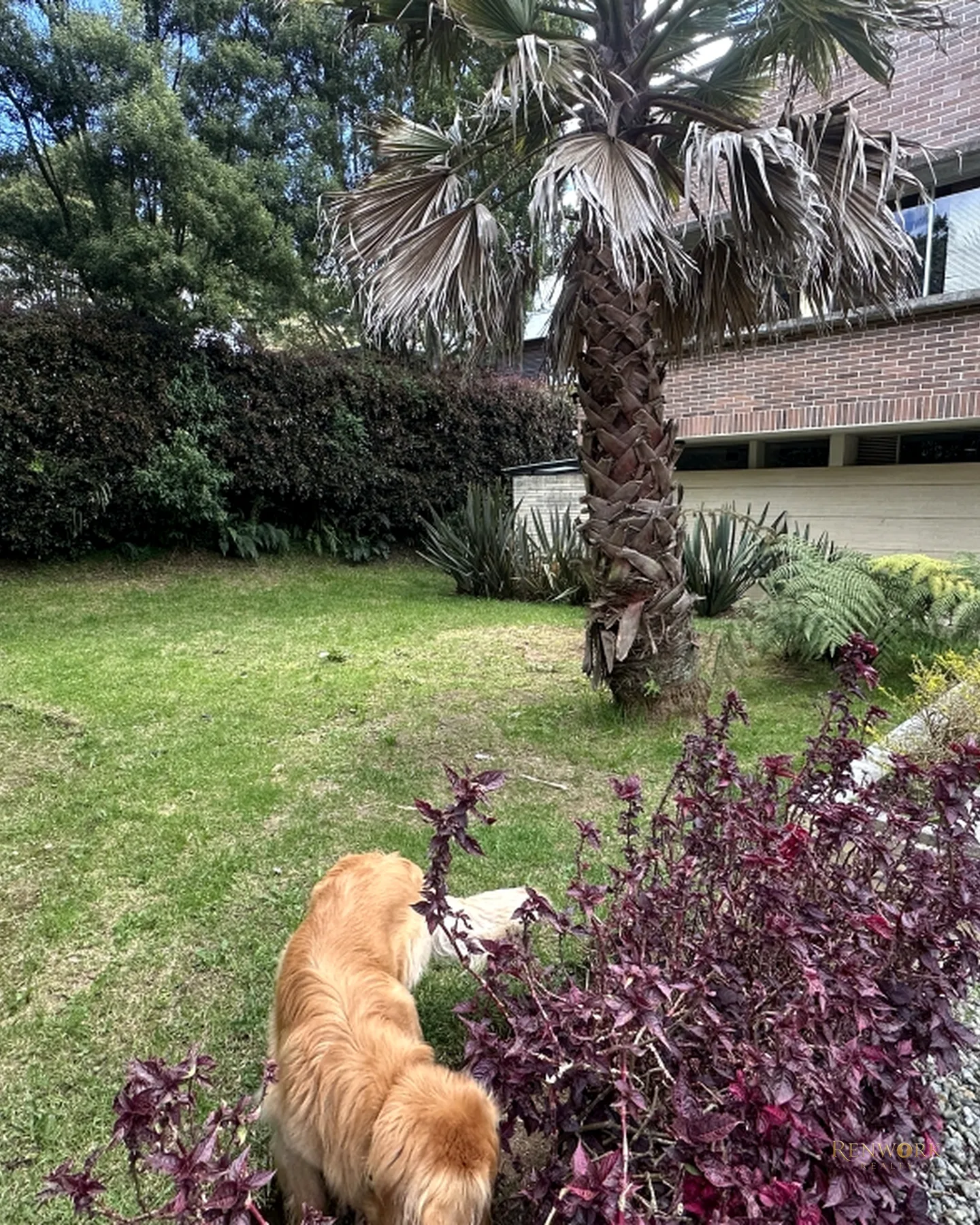 CASA CAMPESTRE EN VENTA ALTO DEL ESCOBERO · foto 17