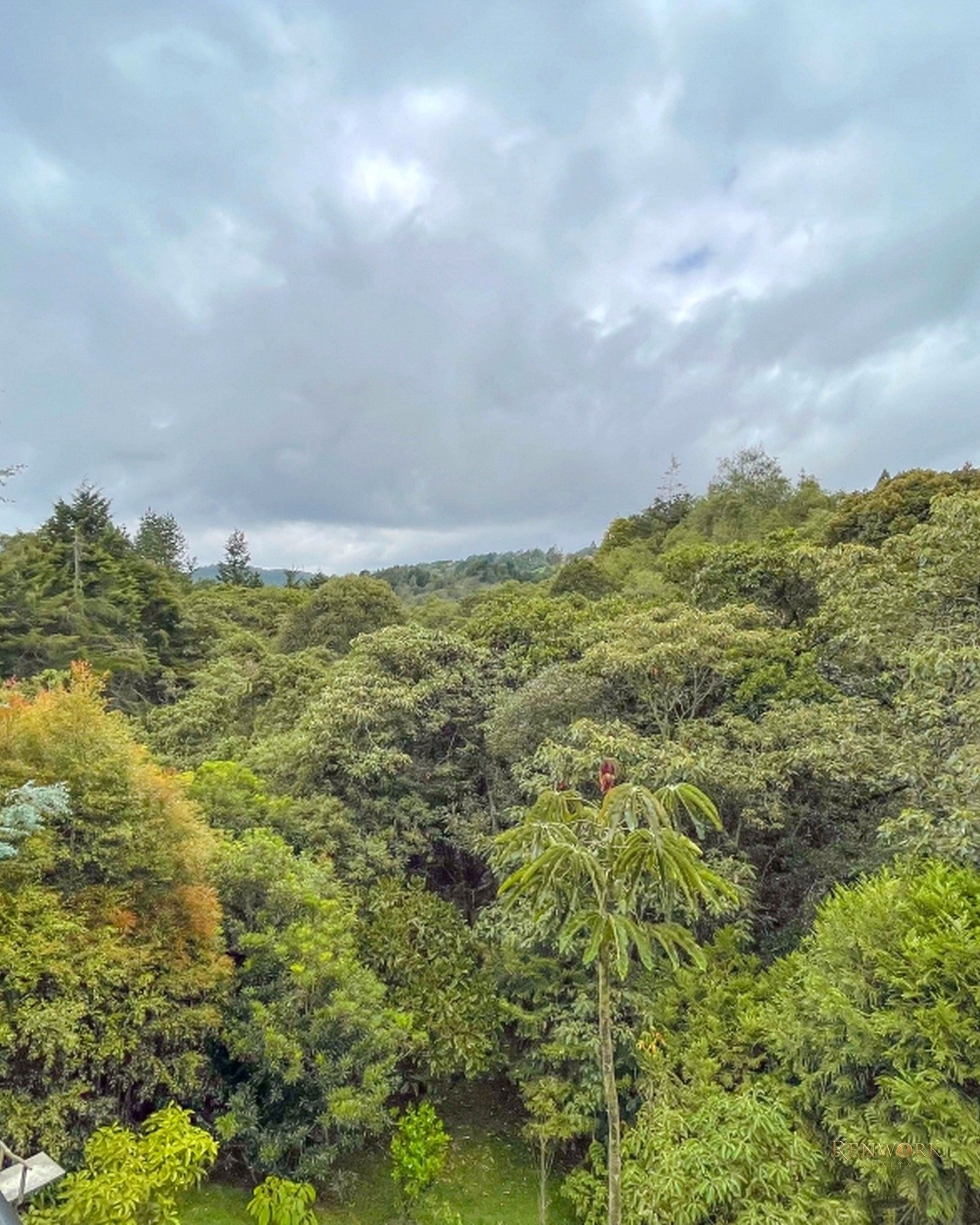 CASA CASMPESTRE MODERNA EN PALMAS ACABADOS DE LUJO Y VISTA AL BOSQUE · foto 22