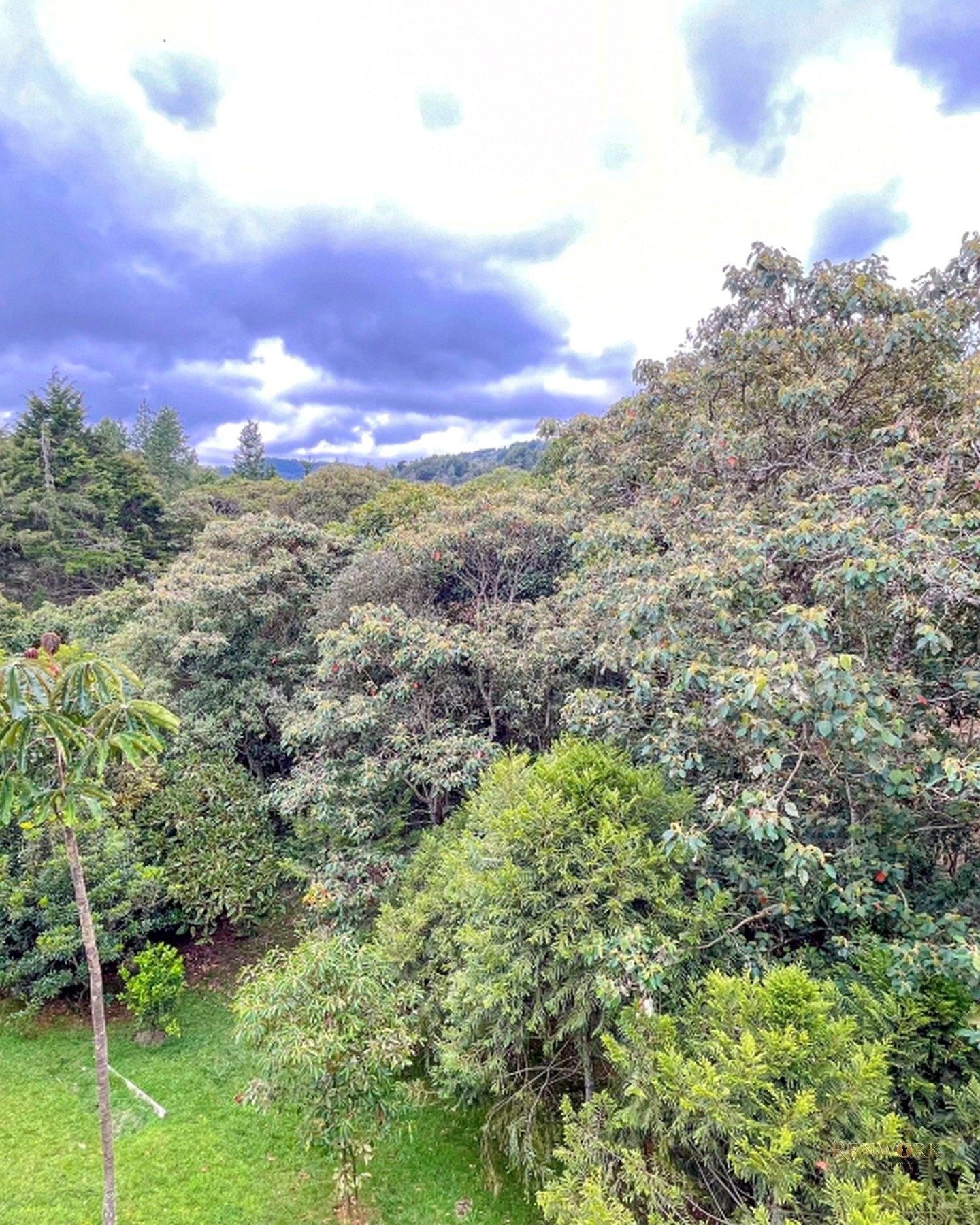 CASA CASMPESTRE MODERNA EN PALMAS ACABADOS DE LUJO Y VISTA AL BOSQUE · foto 23