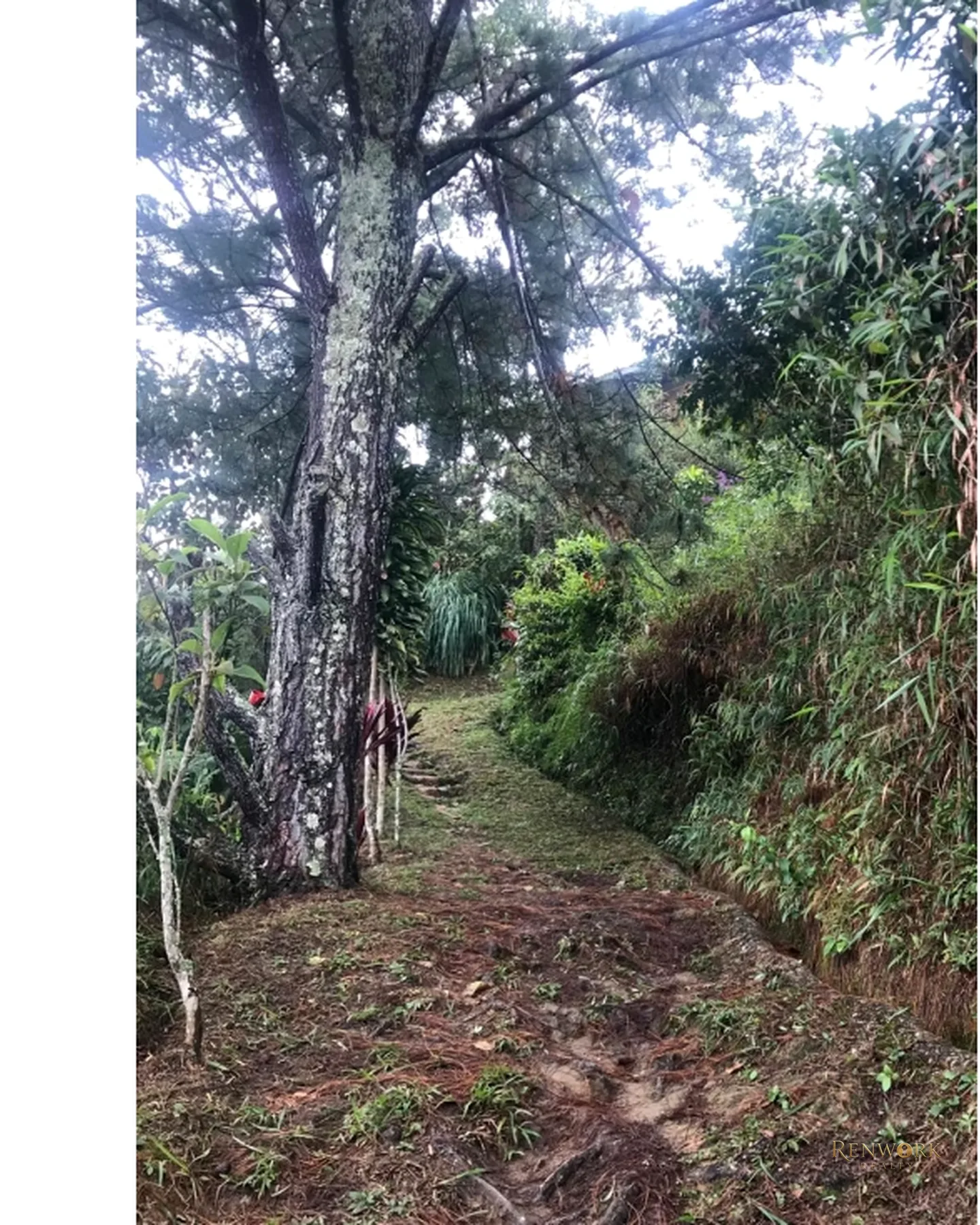 CASA DE CAMPO EN VENTA EN BARBOSA, ANTIOQUIA · foto 10