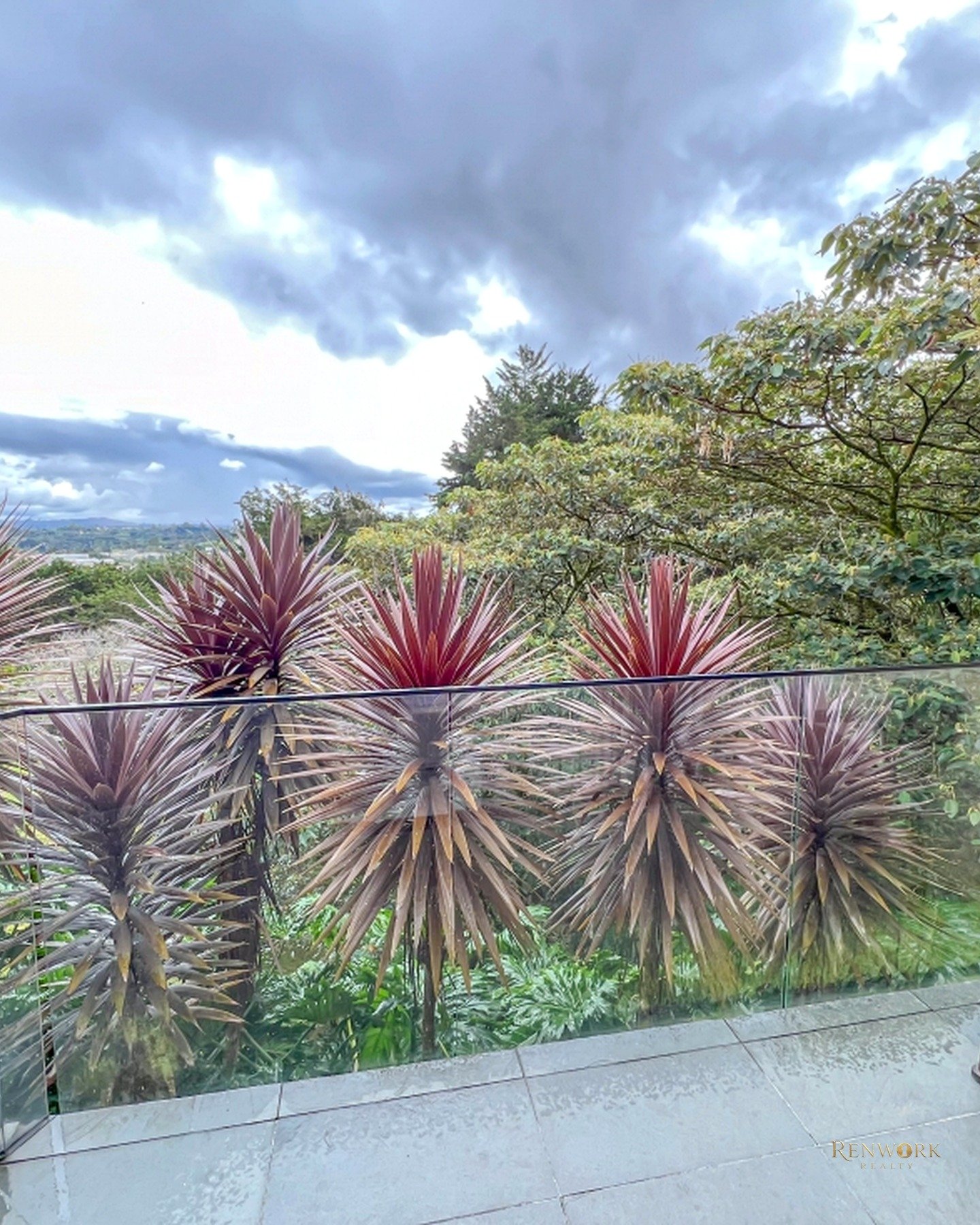 CASA DE UN SOLO NIVEL SAJONIA RIONEGRO · foto 22