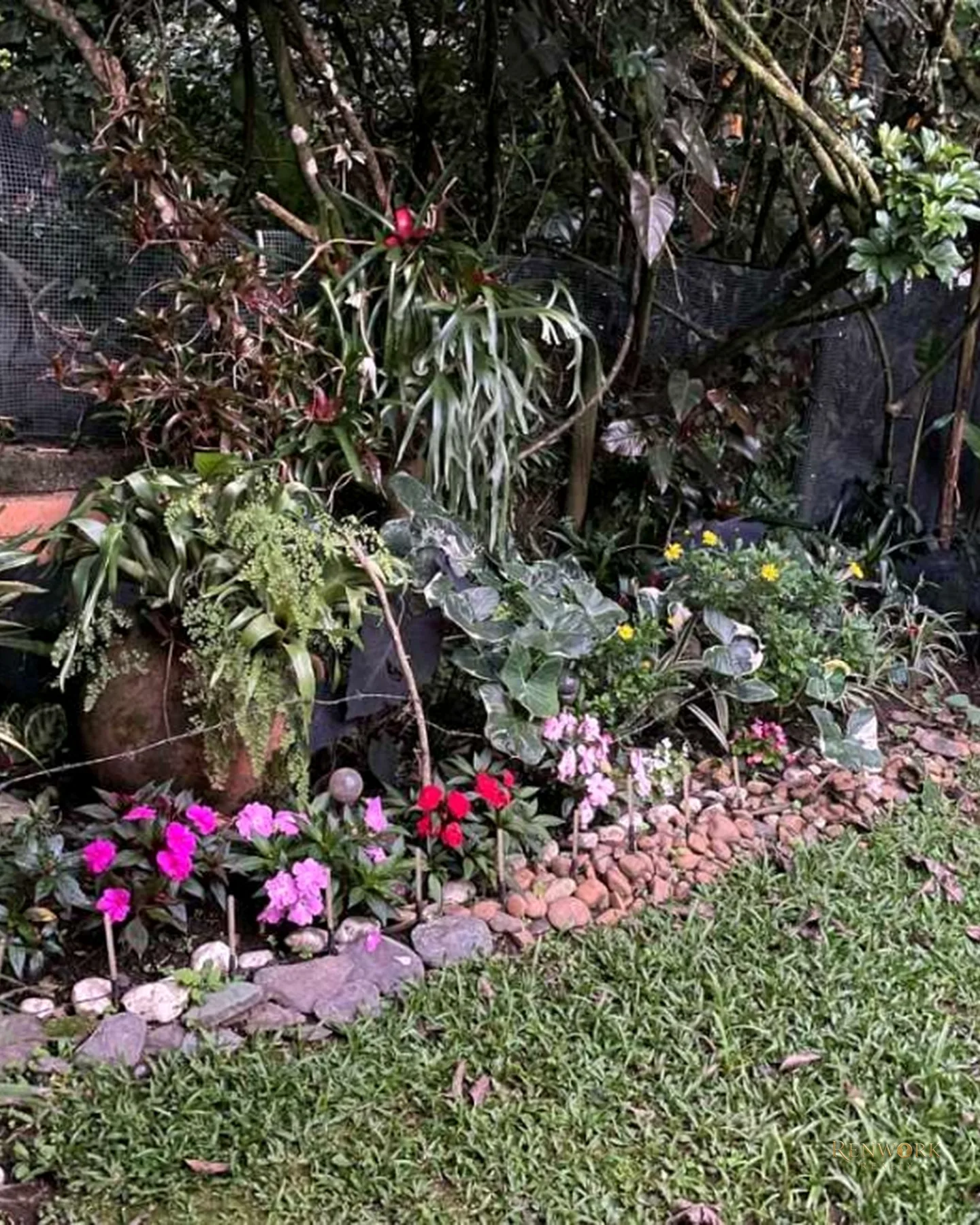 CASA EN SAN LUCAS A PASOS DEL MONTESSORI · foto 15
