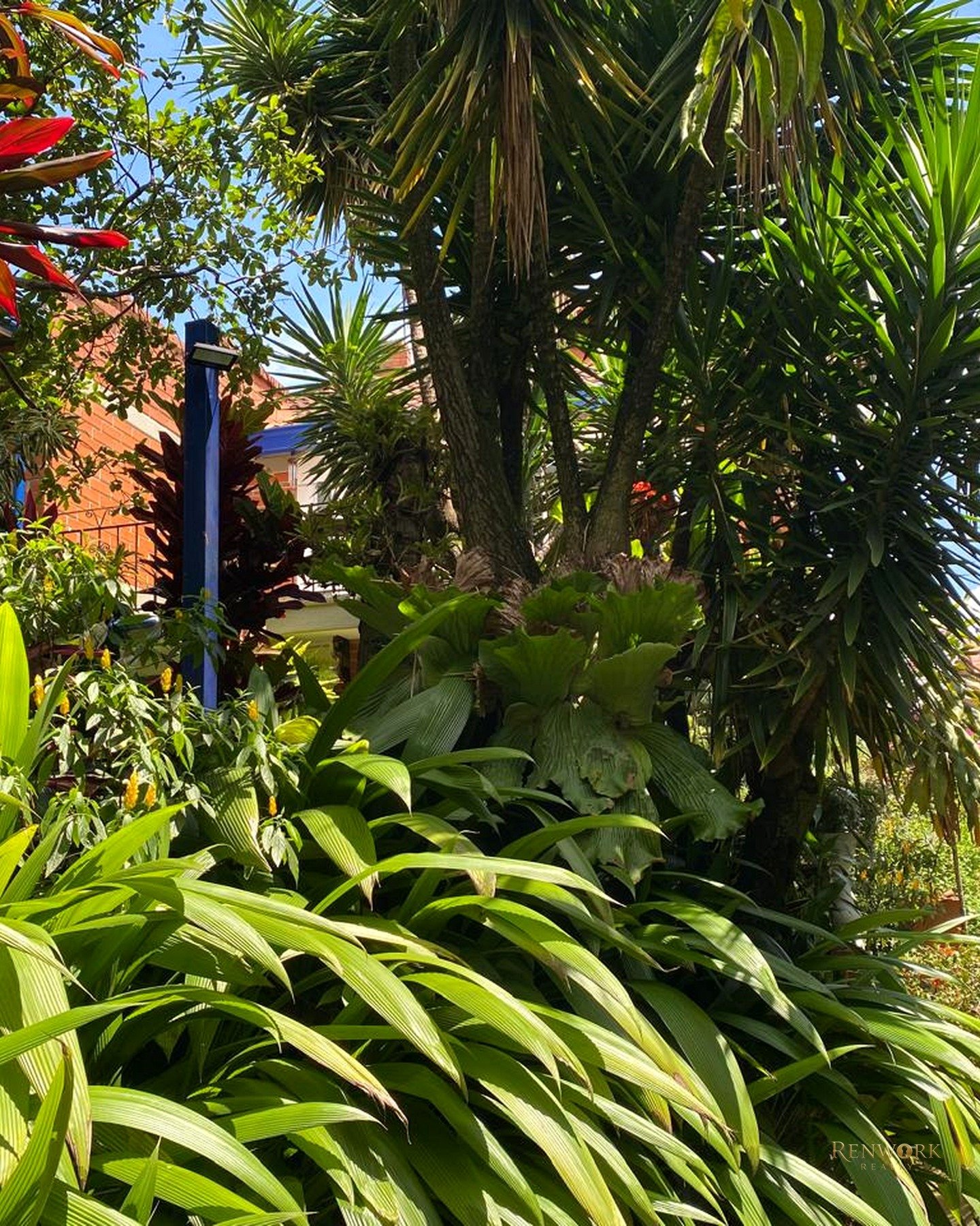 CASA EN VENTA BELEN LA MOTA MEDELLIN · foto 4