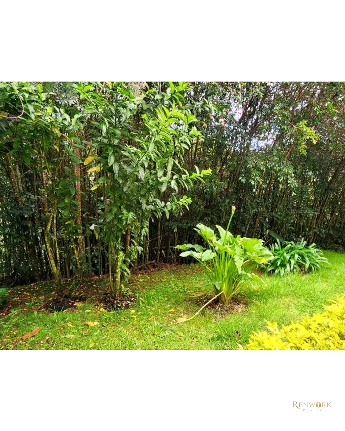 CASA EN VENTA ENVIGADO ALTO DE LAS PALMAS. · foto 12