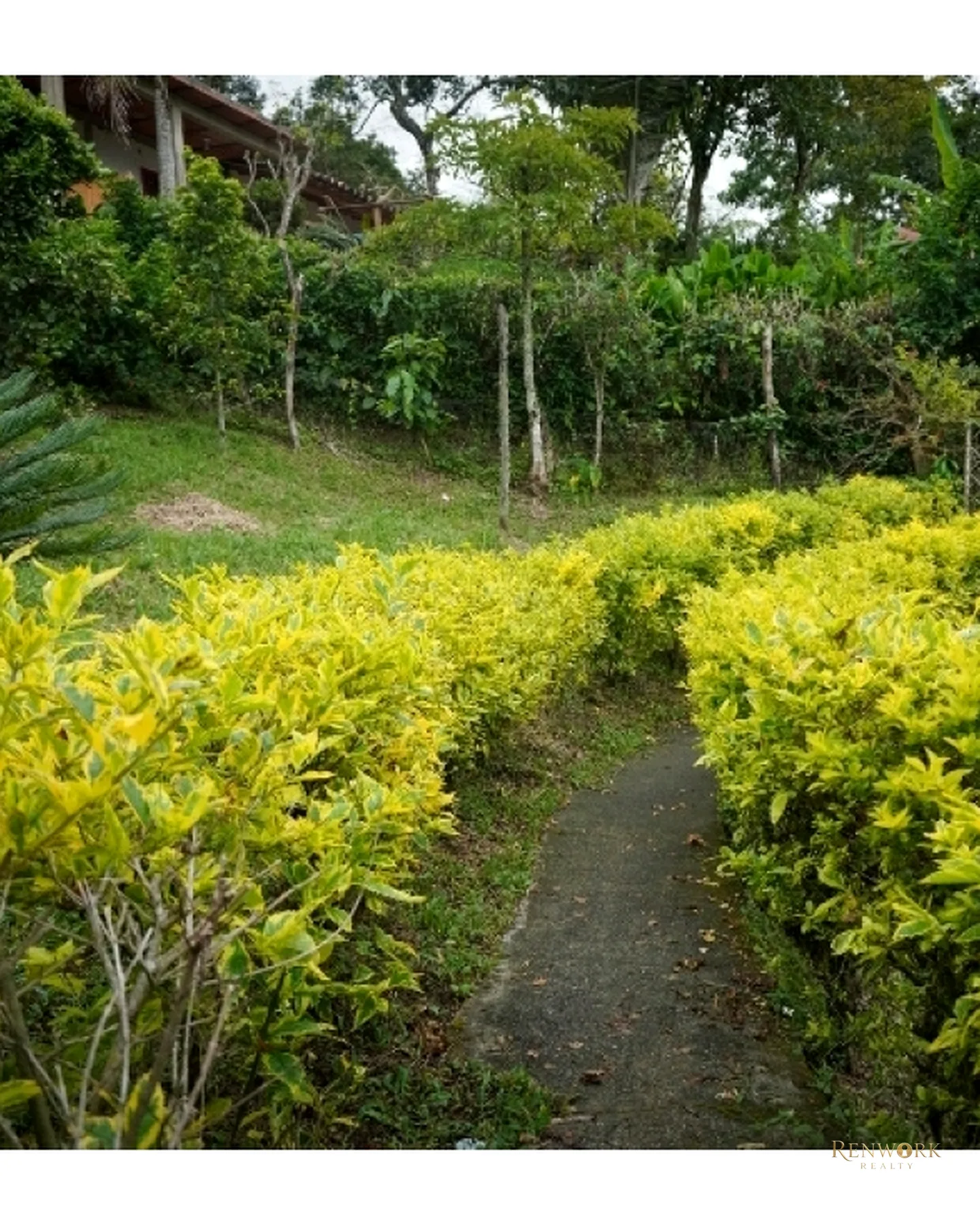 CASA FINCA EN VENTA EN FREDONIA - PIEDRA VERDE - ANTIOQUIA · foto 18