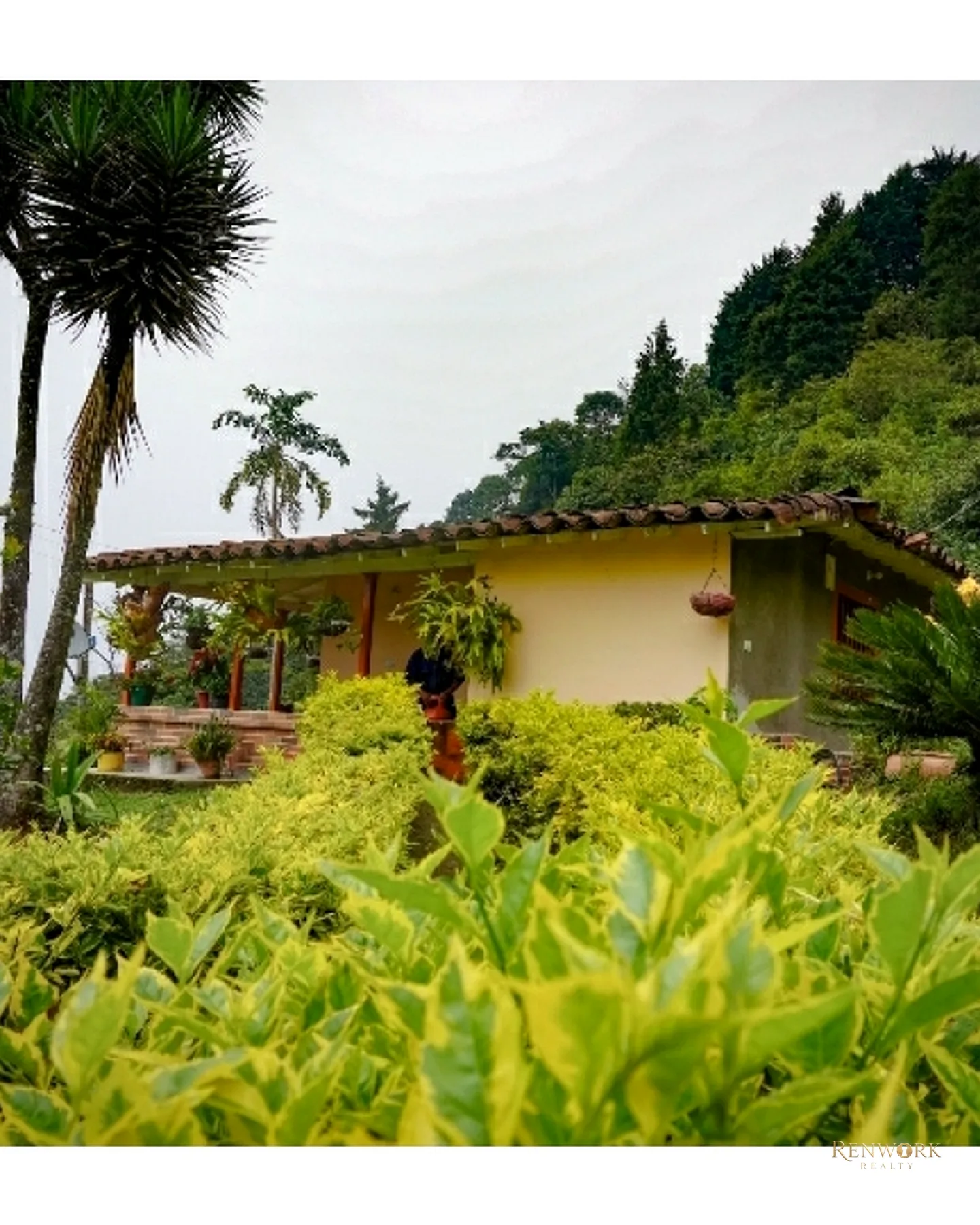 CASA FINCA EN VENTA EN FREDONIA - PIEDRA VERDE - ANTIOQUIA · foto 9