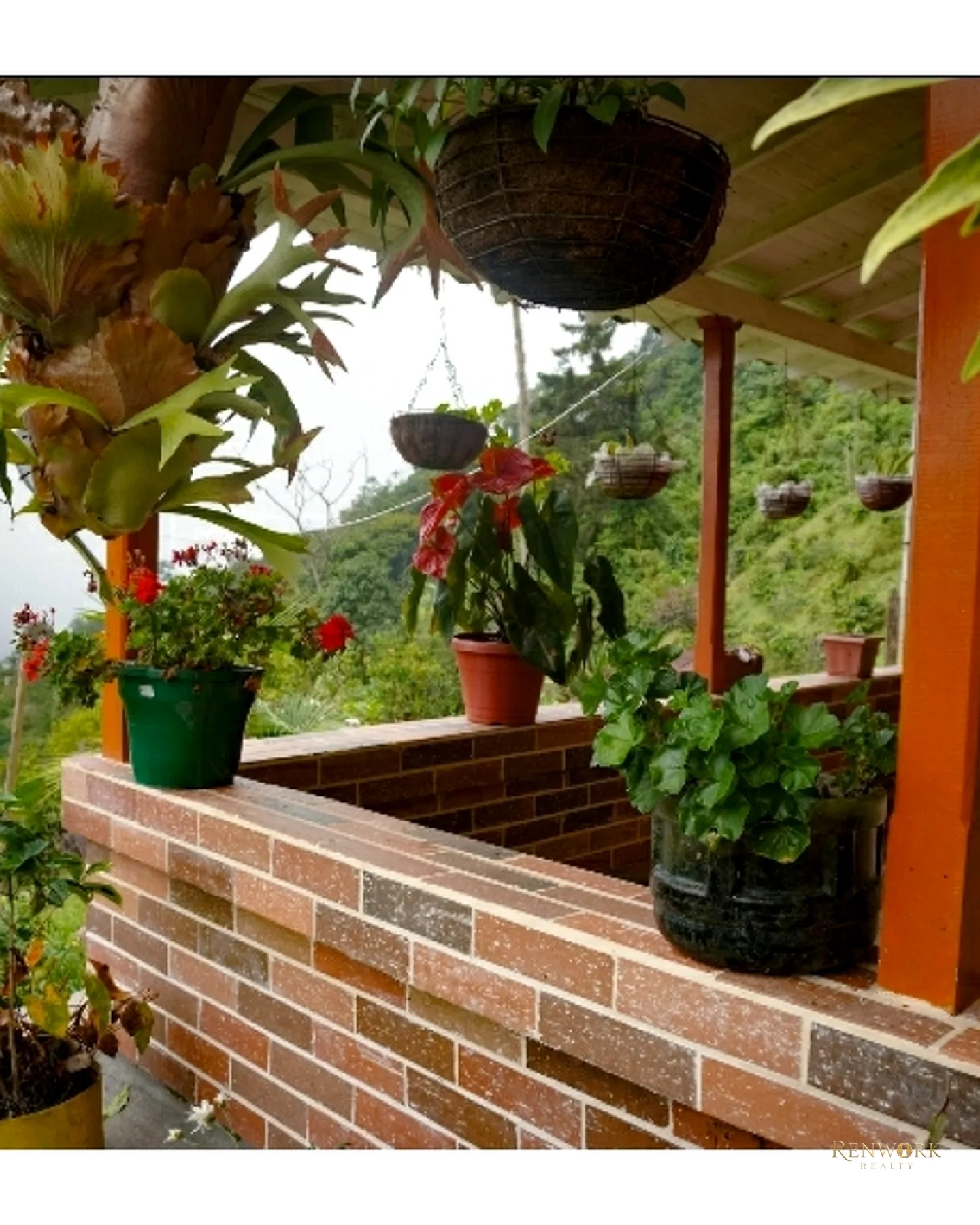 CASA FINCA EN VENTA EN FREDONIA - PIEDRA VERDE - ANTIOQUIA · foto 6