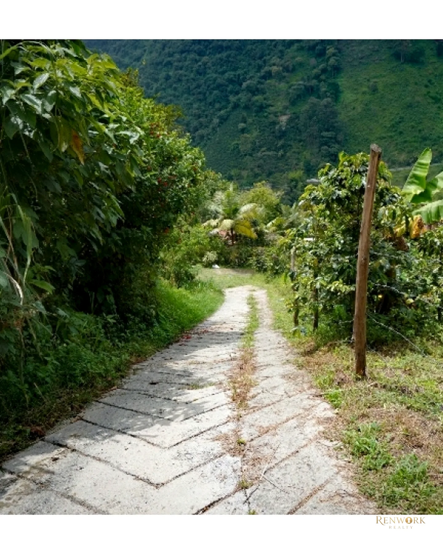 CASA FINCA EN VENTA EN FREDONIA - PIEDRA VERDE - ANTIOQUIA · foto 11