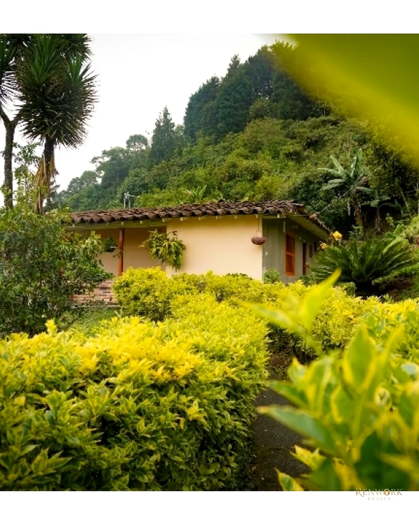 CASA FINCA EN VENTA EN FREDONIA - PIEDRA VERDE - ANTIOQUIA · foto 8