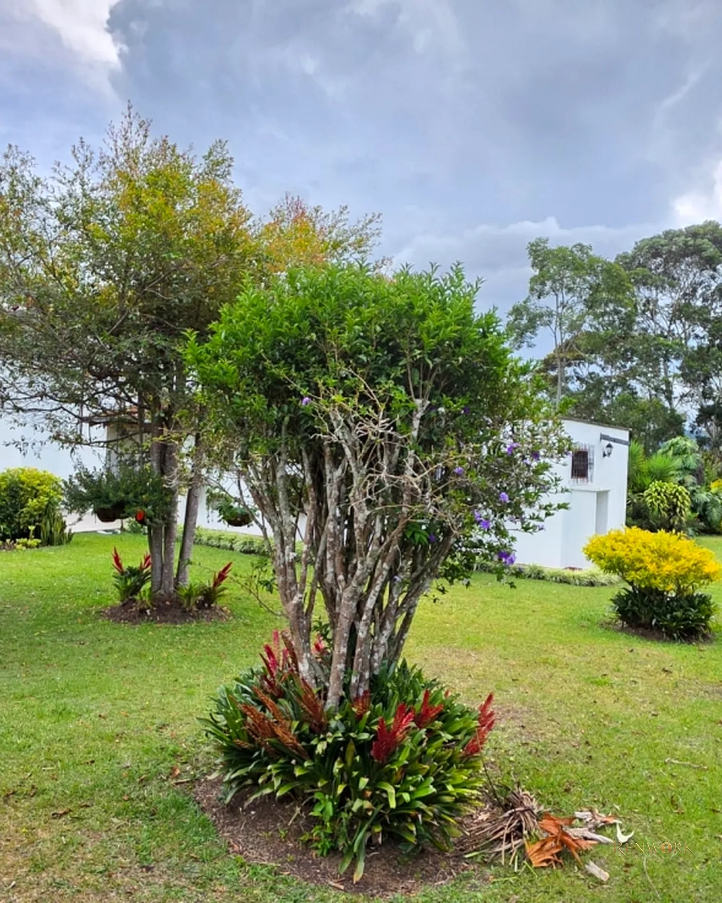 CASA FINCA, PARCELACIÓN CERRADA, LA CEJA, HERMOSO LOTE Y CASA. · foto 11