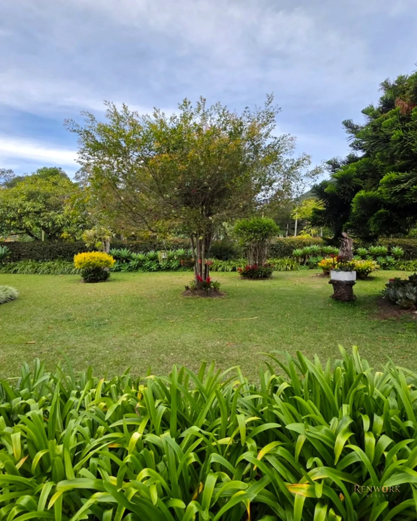 CASA FINCA, PARCELACIÓN CERRADA, LA CEJA, HERMOSO LOTE Y CASA. · foto 15