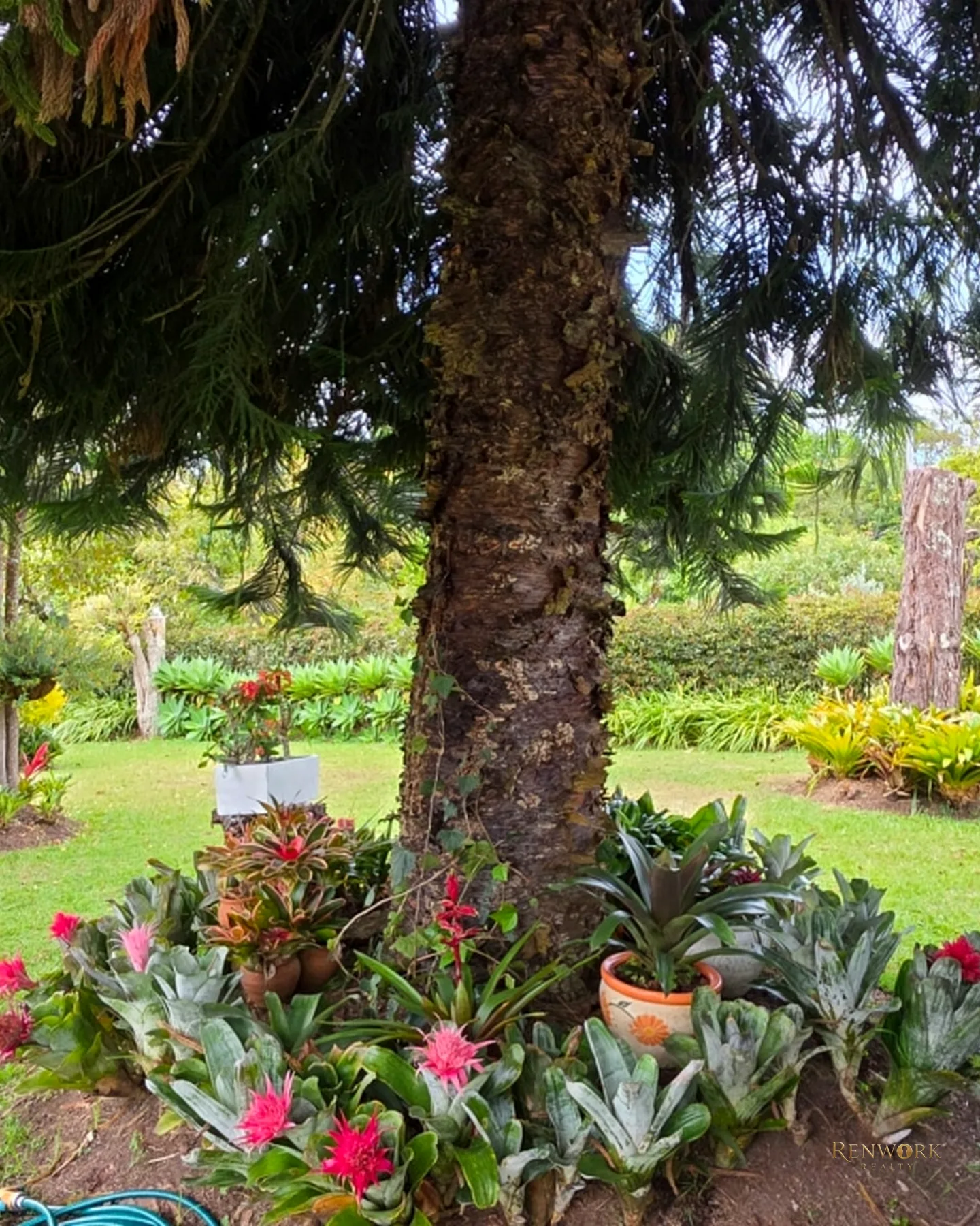 CASA FINCA, PARCELACIÓN CERRADA, LA CEJA, HERMOSO LOTE Y CASA. · foto 18