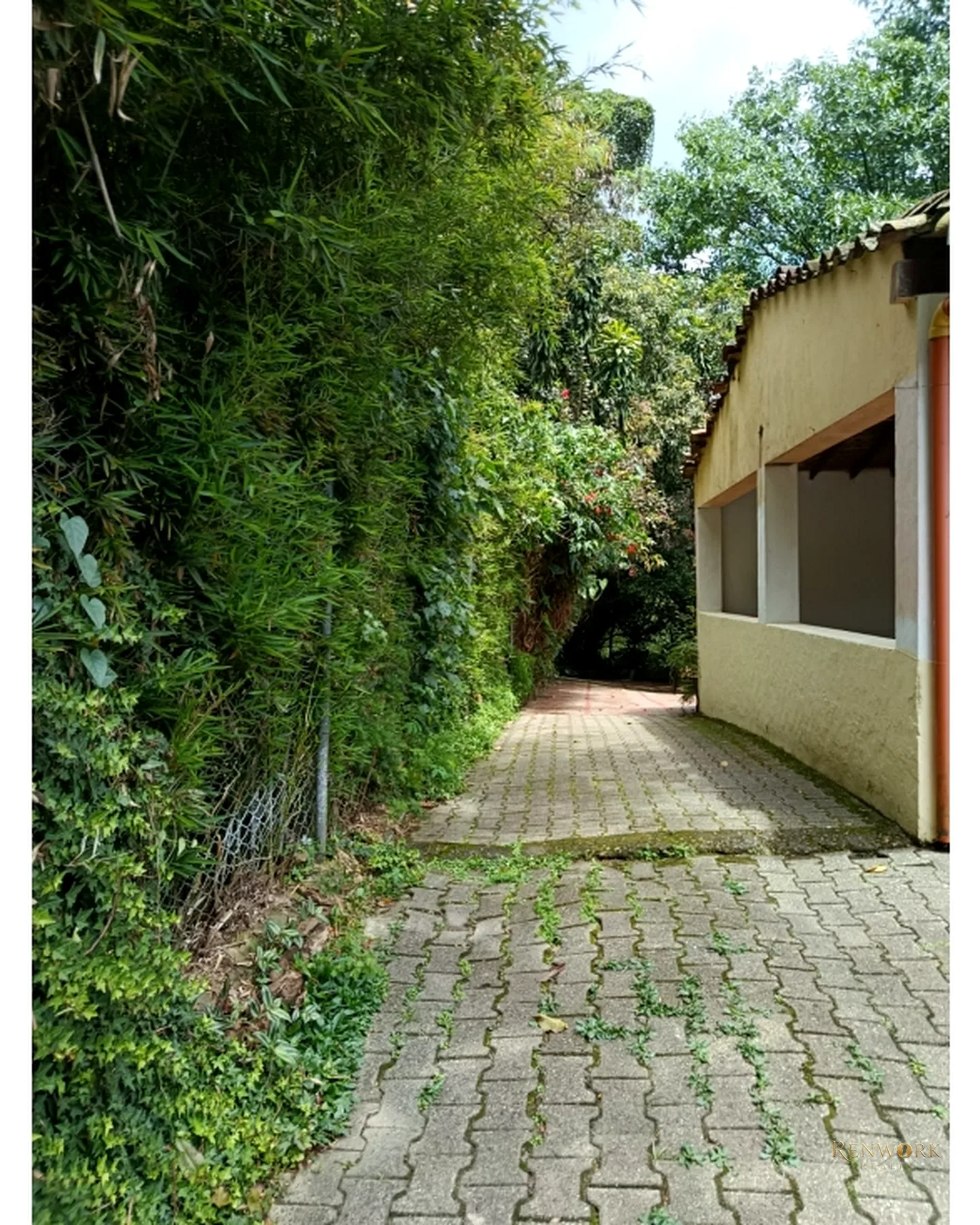CASA LOTE EN SAN LUCAS POBLADO · foto 3