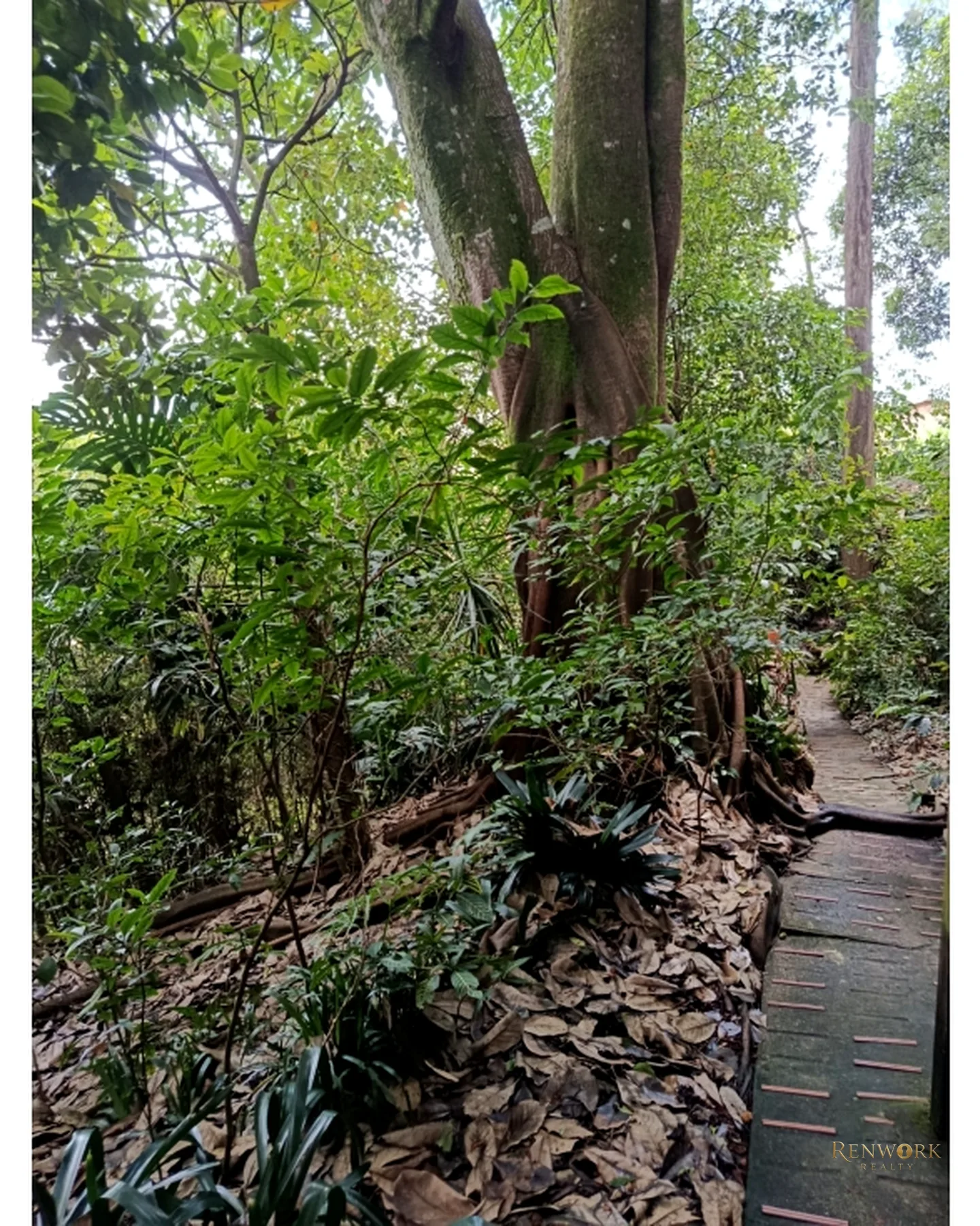 CASA LOTE EN SAN LUCAS POBLADO · foto 7