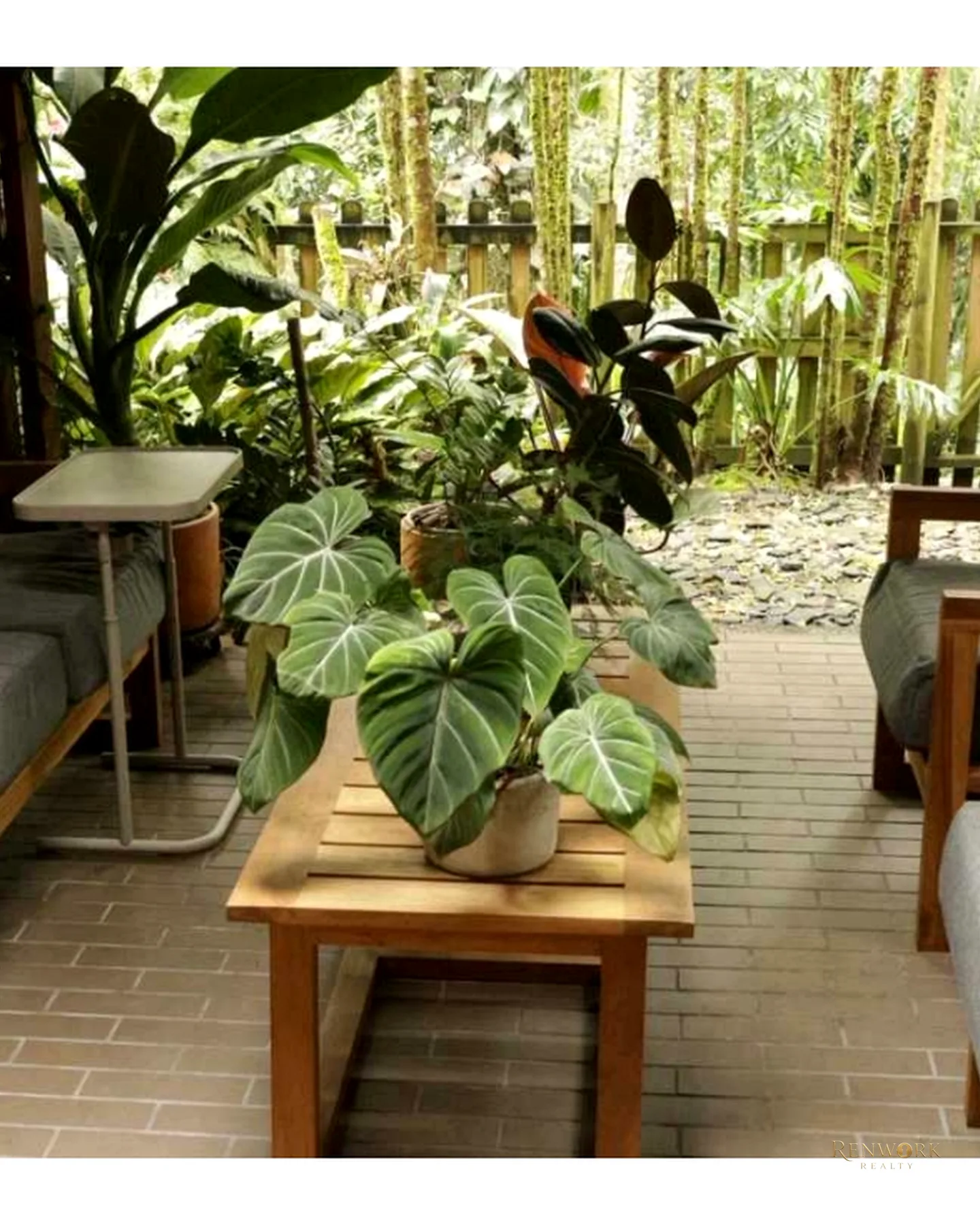 ☘️CASA RODEADA DE VERDE SECTOR EL CES · foto 16