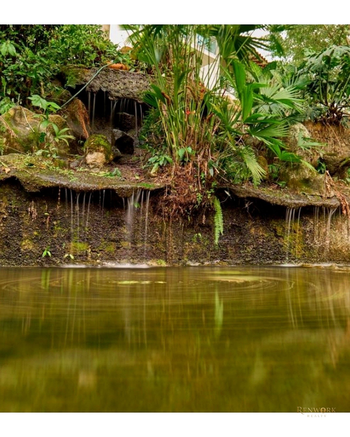 🌴 ESPECTACULAR FINCA DE RECREO EN SAN JERÓNIMO · foto 21