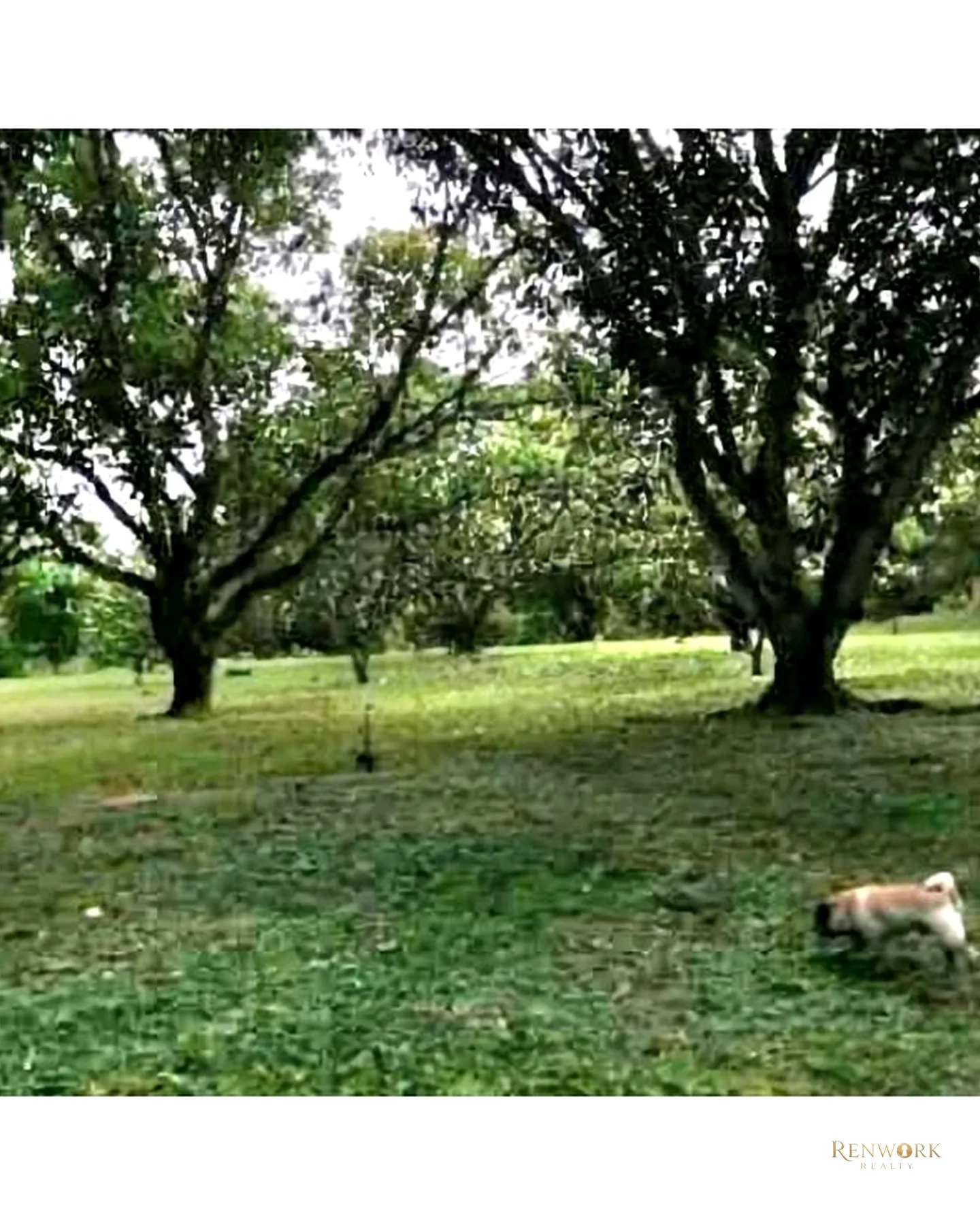 EXCELENTE FINCA EN SAN JERONIMO · foto 22