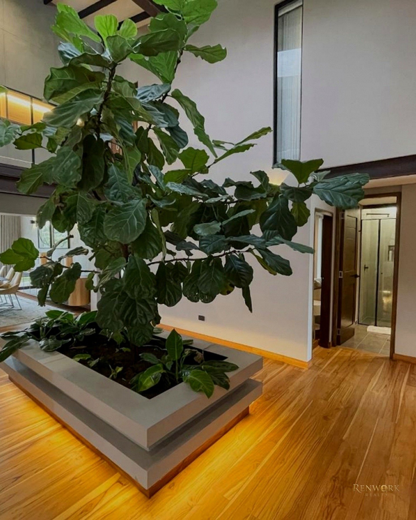 EXCLUSIVA CASA EN LLANOGRANDE · foto 2