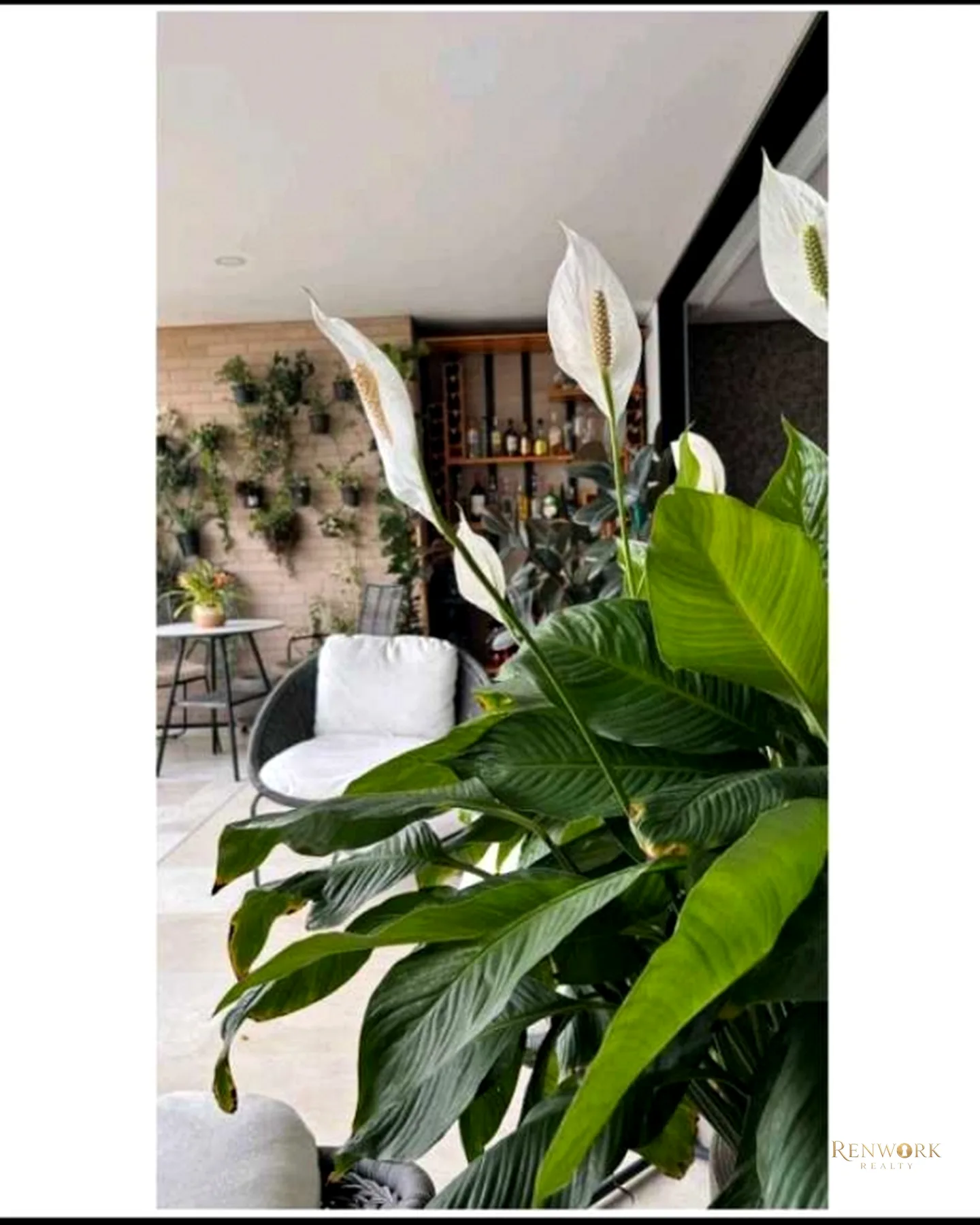 EXCLUSIVO APARTAMENTO EN SANTA MARÍA DE LOS ÁNGELES/POBLADO · foto 17