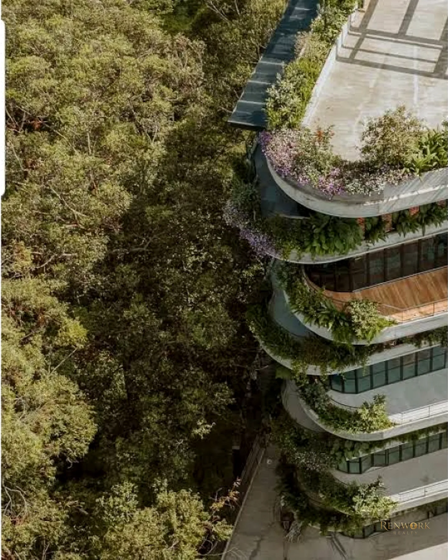 EXCLUSIVO APARTAMENTO EN VENTA | RENTA | SECTOR EL CAMPESTRE · foto 17