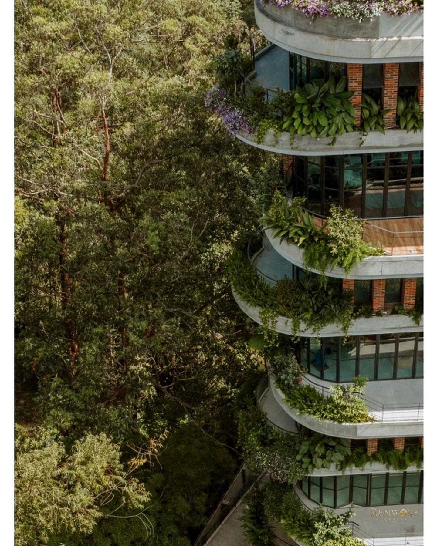 EXCLUSIVO APARTAMENTO EN VENTA | RENTA | SECTOR EL CAMPESTRE · foto 16