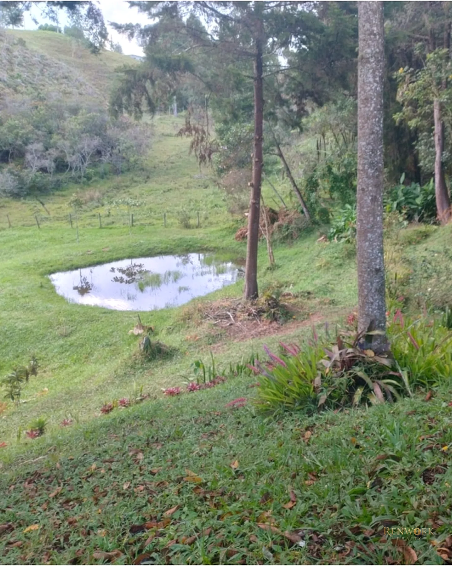 FINCA 13.486M² CISNEROS VEREDA EL DOS | 3 CASAS, JACUZZI Y BBQ 🏞️ · foto 2