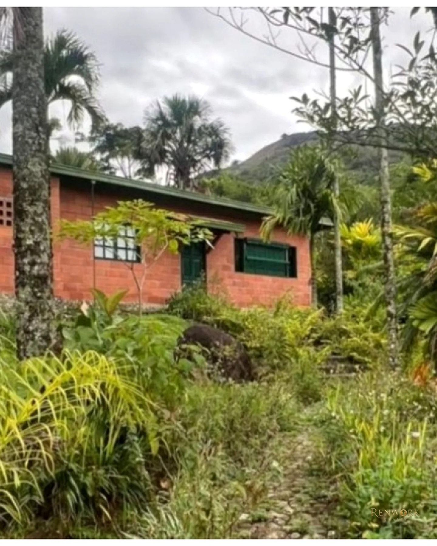 FINCA 13.486M² CISNEROS VEREDA EL DOS | 3 CASAS, JACUZZI Y BBQ 🏞️ · foto 3