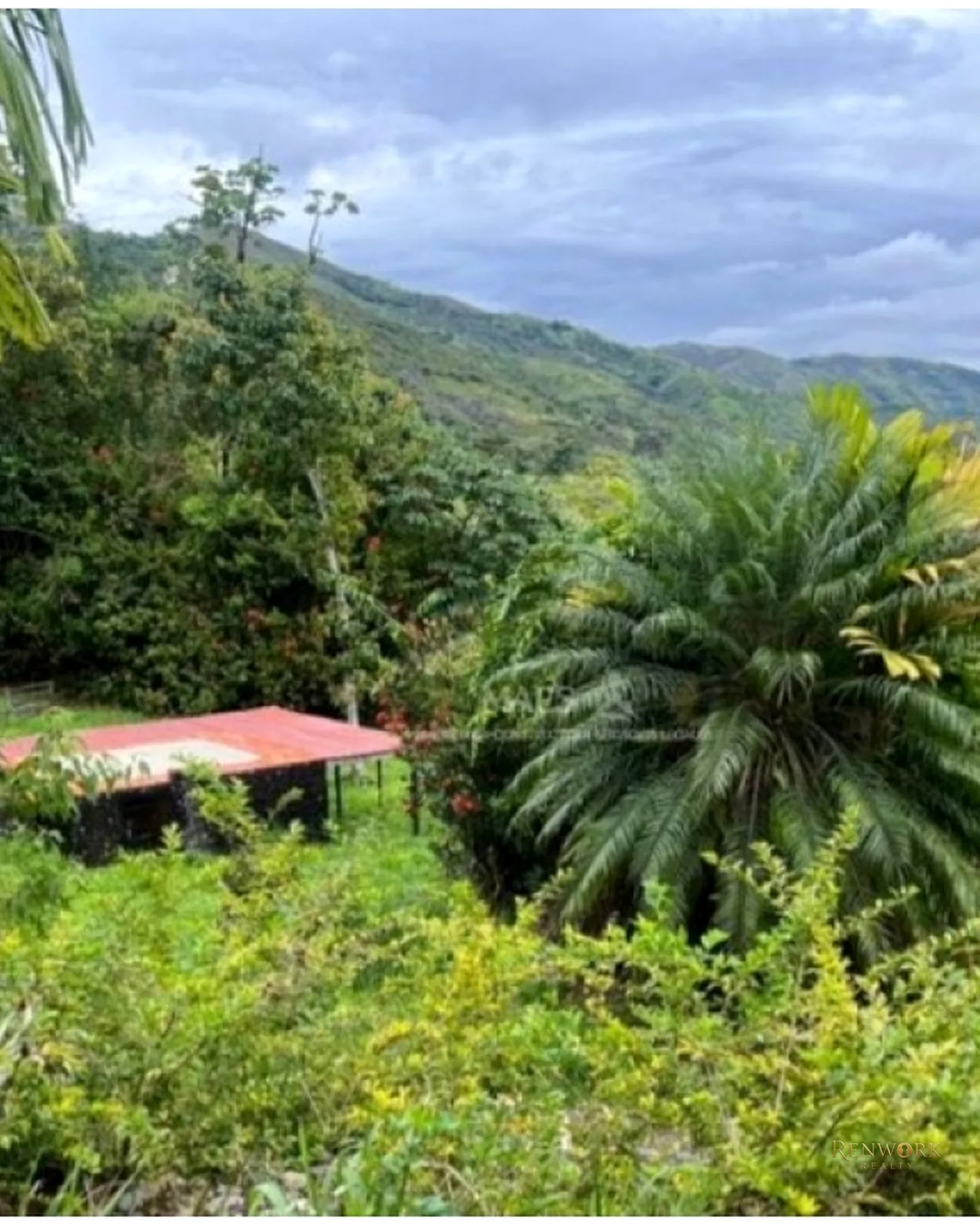 FINCA 13.486M² CISNEROS VEREDA EL DOS | 3 CASAS, JACUZZI Y BBQ 🏞️ · foto 10