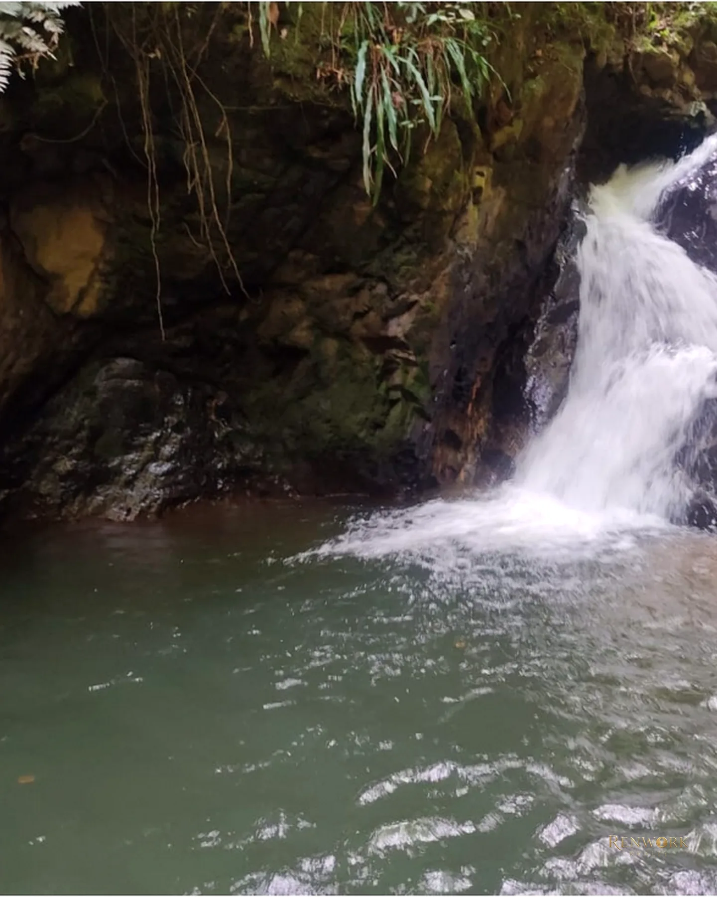 FINCA 14 HECTÁREAS EN SAN VICENTE FERRER | CASCADAS Y AGUACATES 🏞️🥑 · foto 3