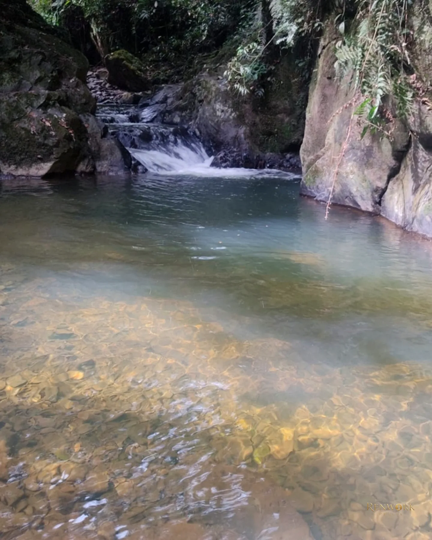 FINCA 14 HECTÁREAS EN SAN VICENTE FERRER | CASCADAS Y AGUACATES 🏞️🥑 · foto 7