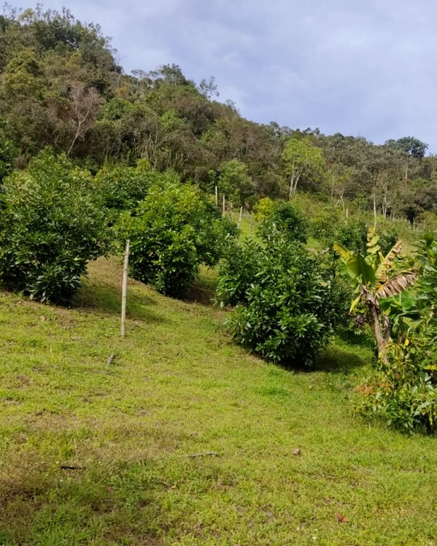 FINCA 14 HECTÁREAS EN SAN VICENTE FERRER | CASCADAS Y AGUACATES 🏞️🥑 · foto 11