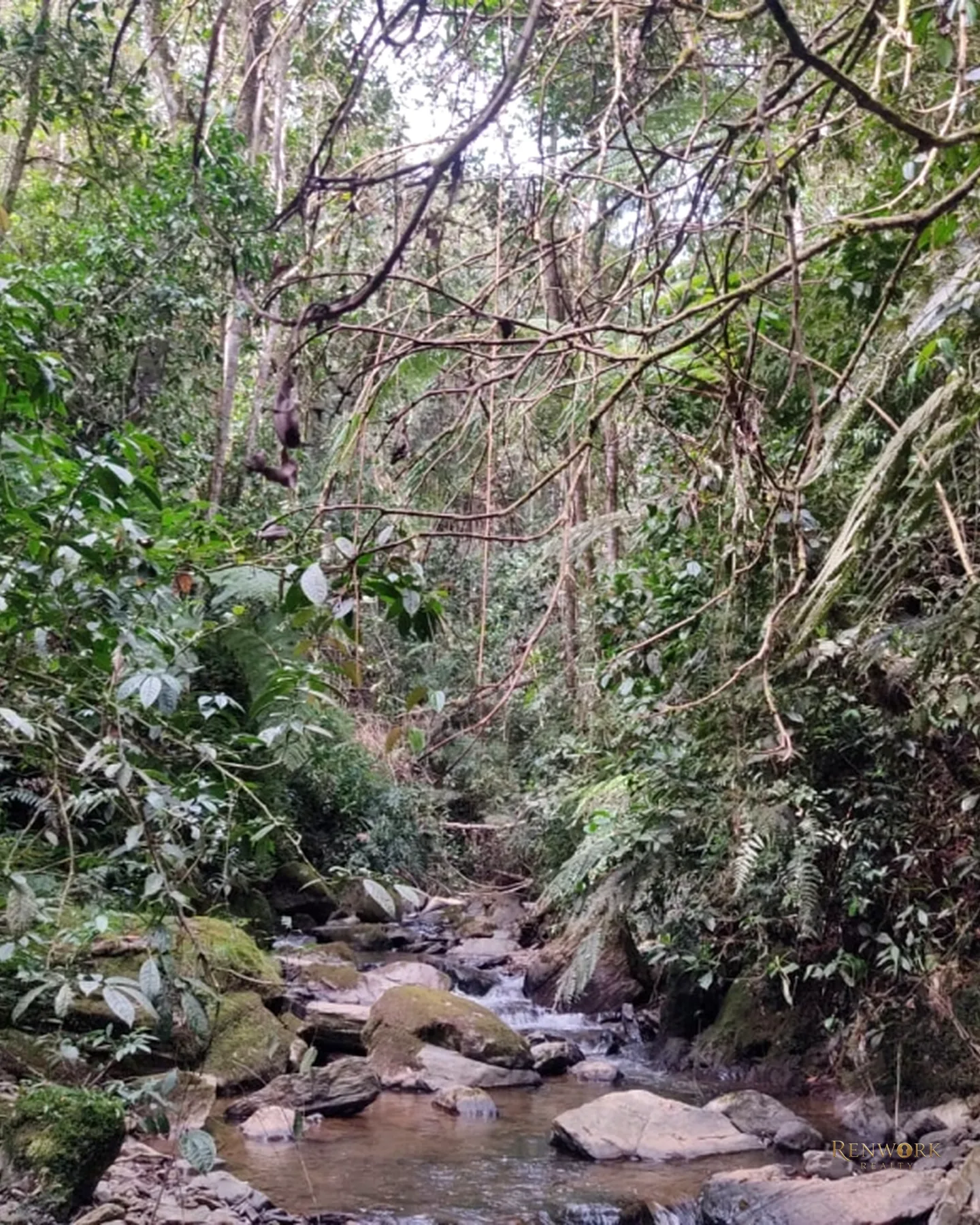 FINCA 14 HECTÁREAS EN SAN VICENTE FERRER | CASCADAS Y AGUACATES 🏞️🥑 · foto 15