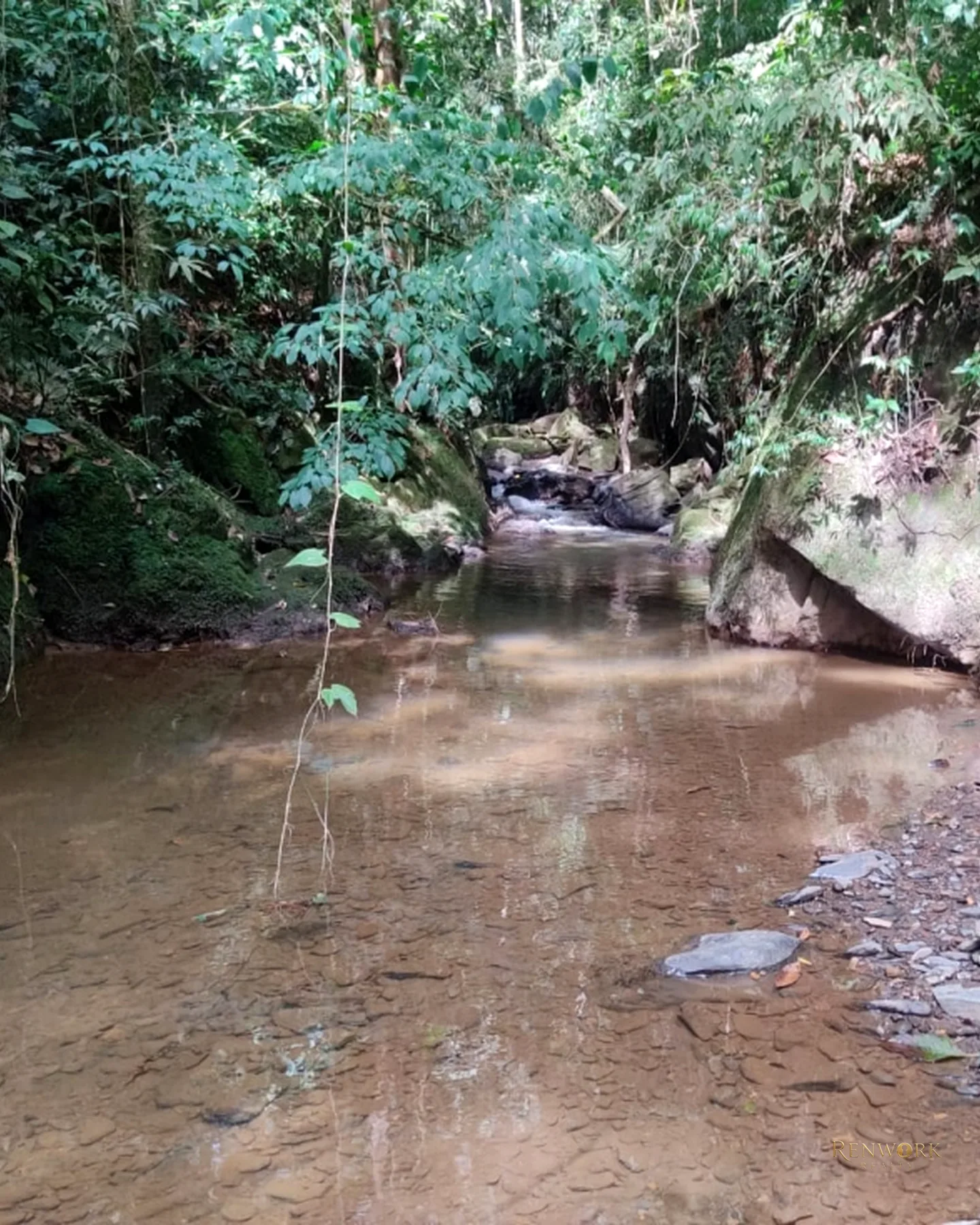 FINCA 14 HECTÁREAS EN SAN VICENTE FERRER | CASCADAS Y AGUACATES 🏞️🥑 · foto 10