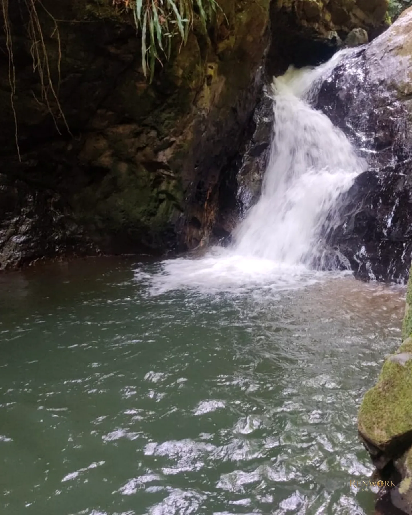FINCA 14 HECTÁREAS EN SAN VICENTE FERRER | CASCADAS Y AGUACATES 🏞️🥑 · foto 5