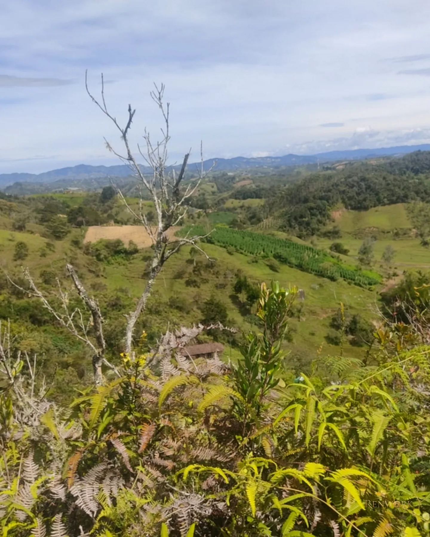 FINCA 14 HECTÁREAS EN SAN VICENTE FERRER | CASCADAS Y AGUACATES 🏞️🥑 · foto 14
