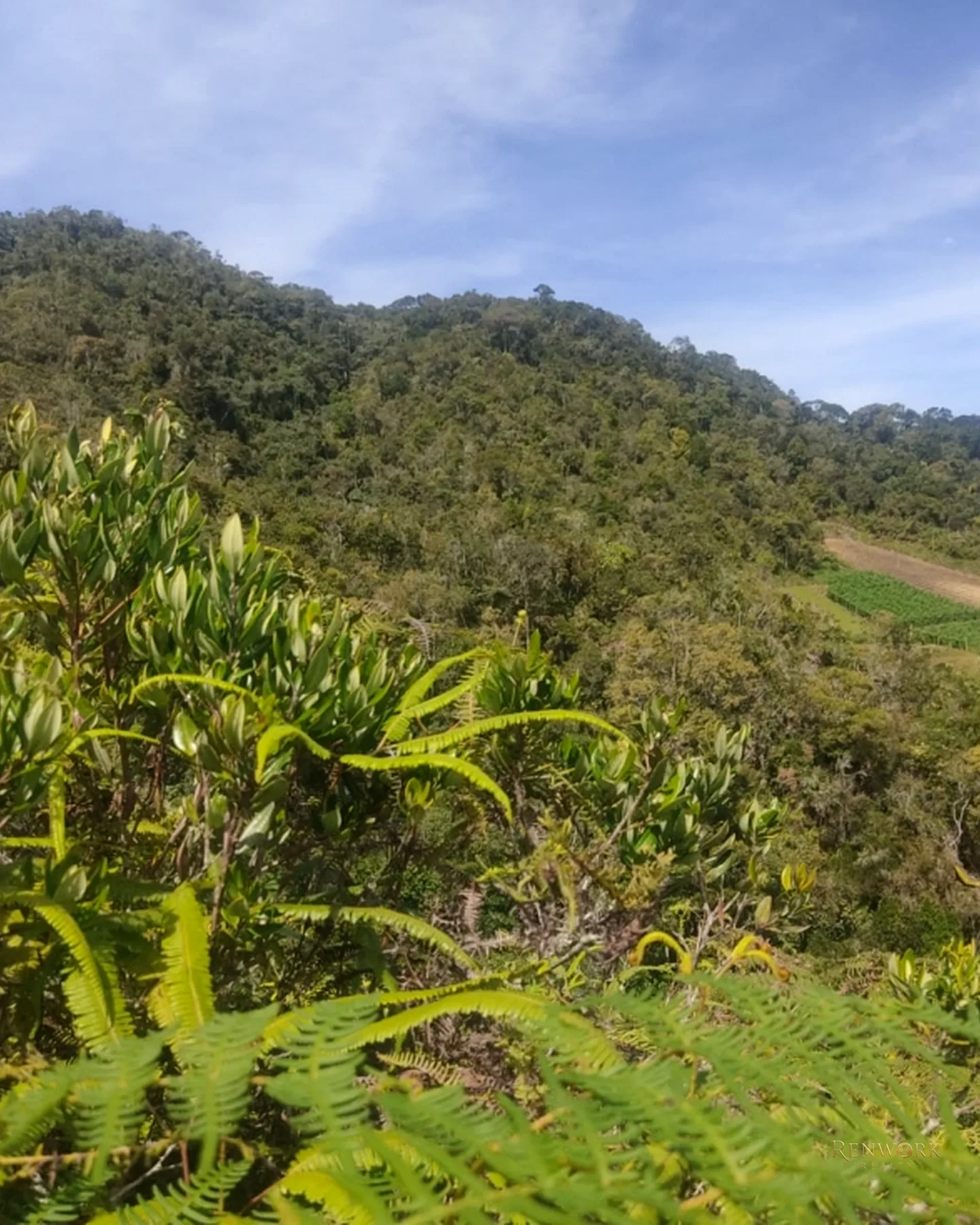 FINCA 14 HECTÁREAS EN SAN VICENTE FERRER | CASCADAS Y AGUACATES 🏞️🥑 · foto 12