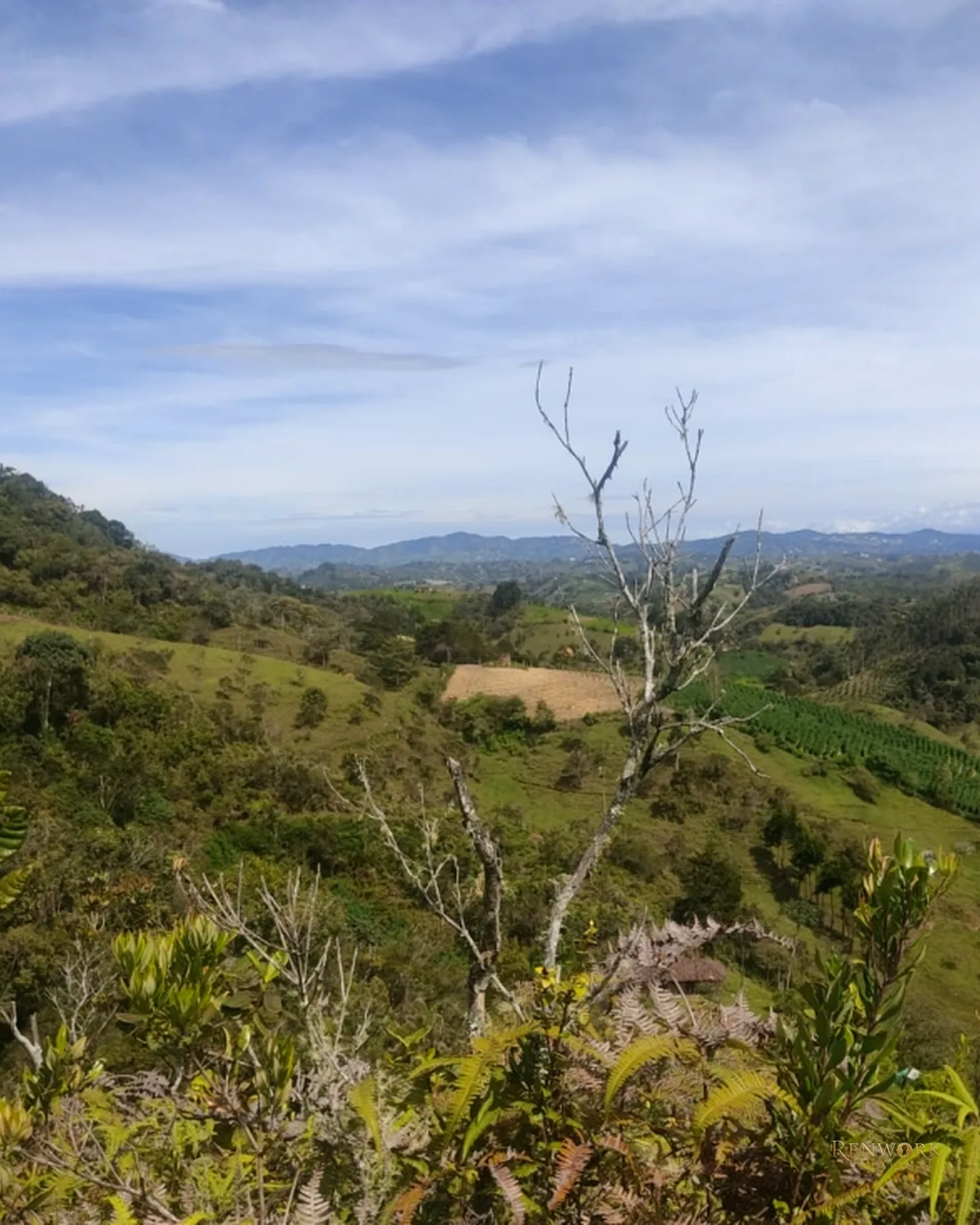 FINCA 14 HECTÁREAS EN SAN VICENTE FERRER | CASCADAS Y AGUACATES 🏞️🥑 · foto 13